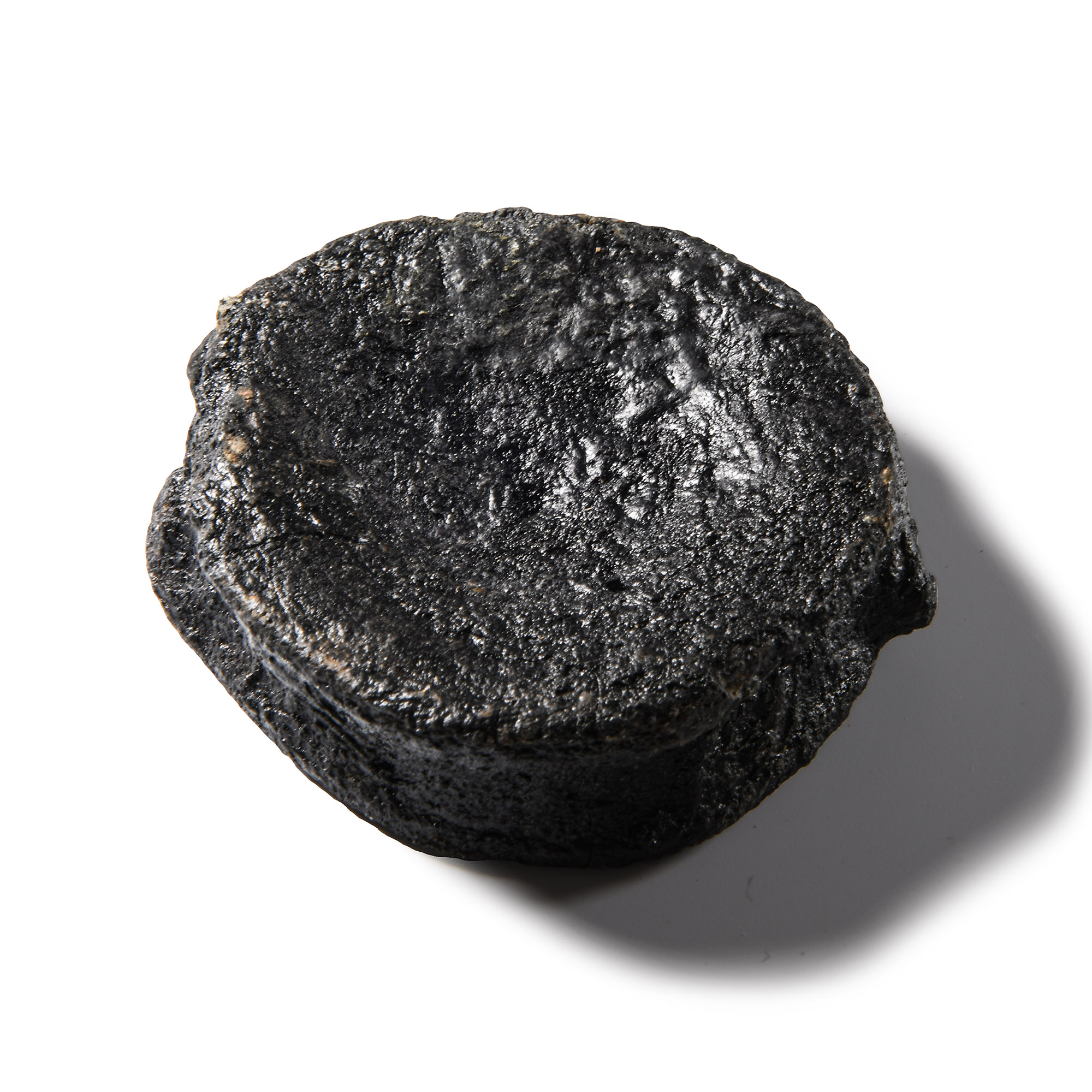 Natural History - Fossil Icthyosaur 'Marine Dinosaur' Vertebra