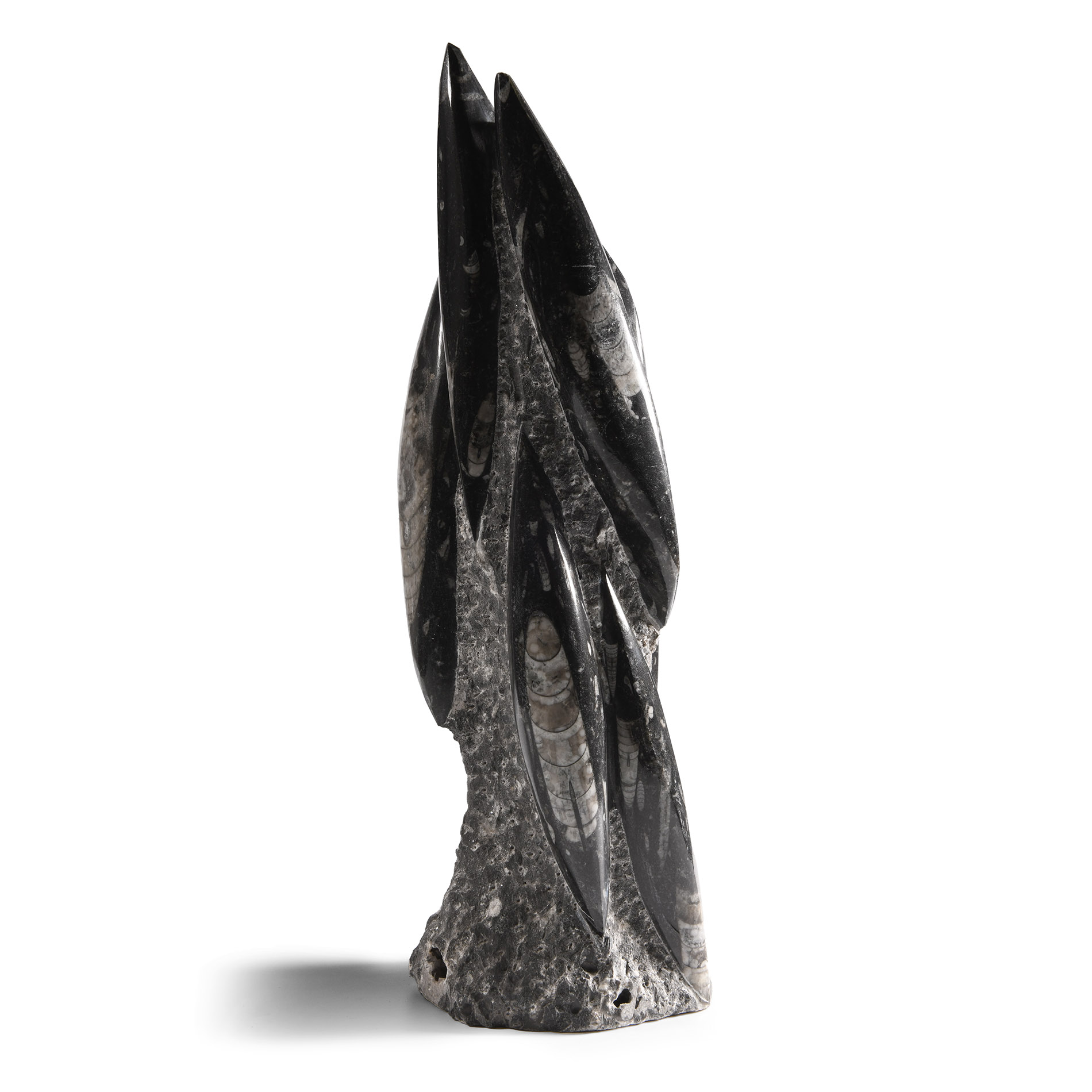 Natural History - Fossil Orthoceras Tower