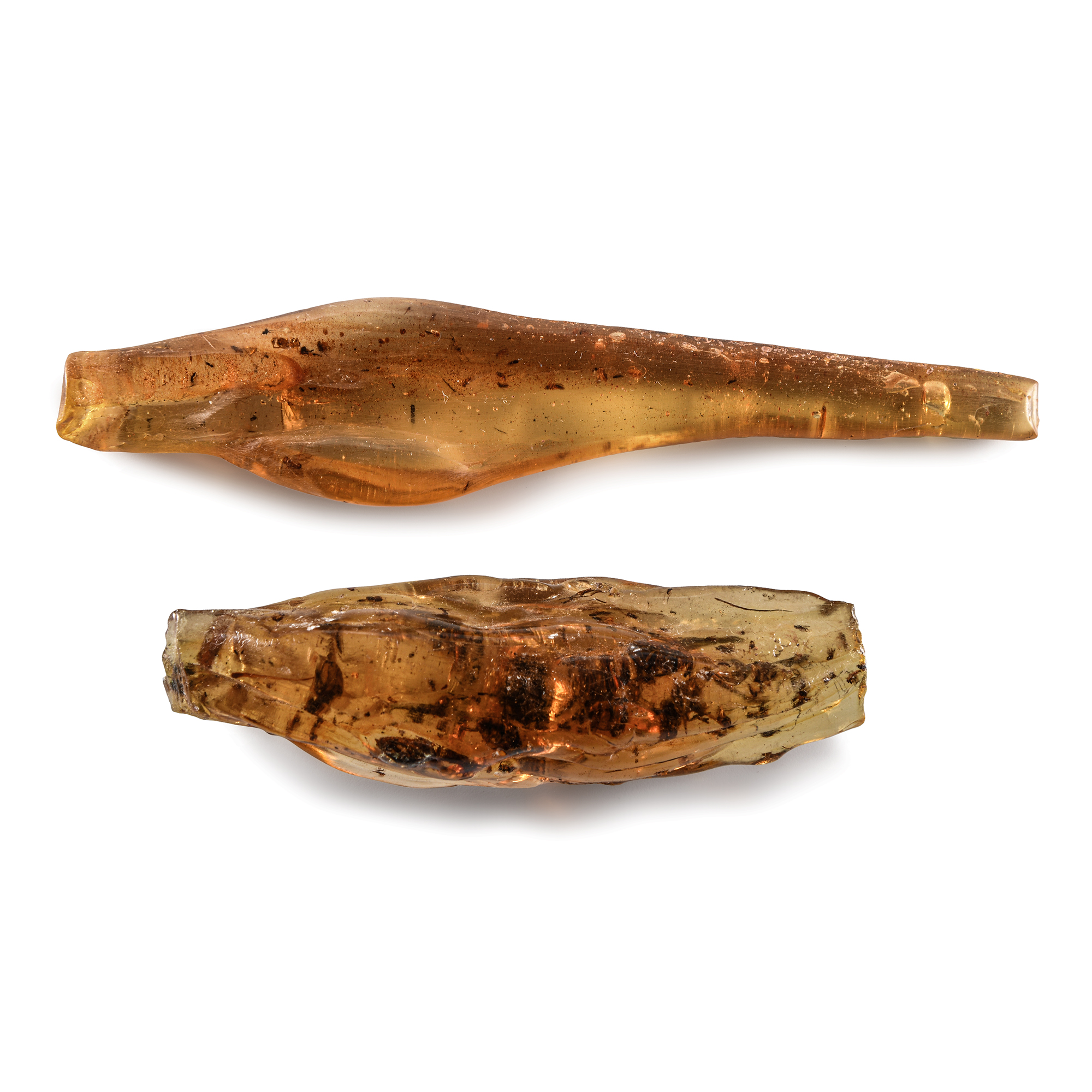 Natural History - Polished Copal Pair with Insects