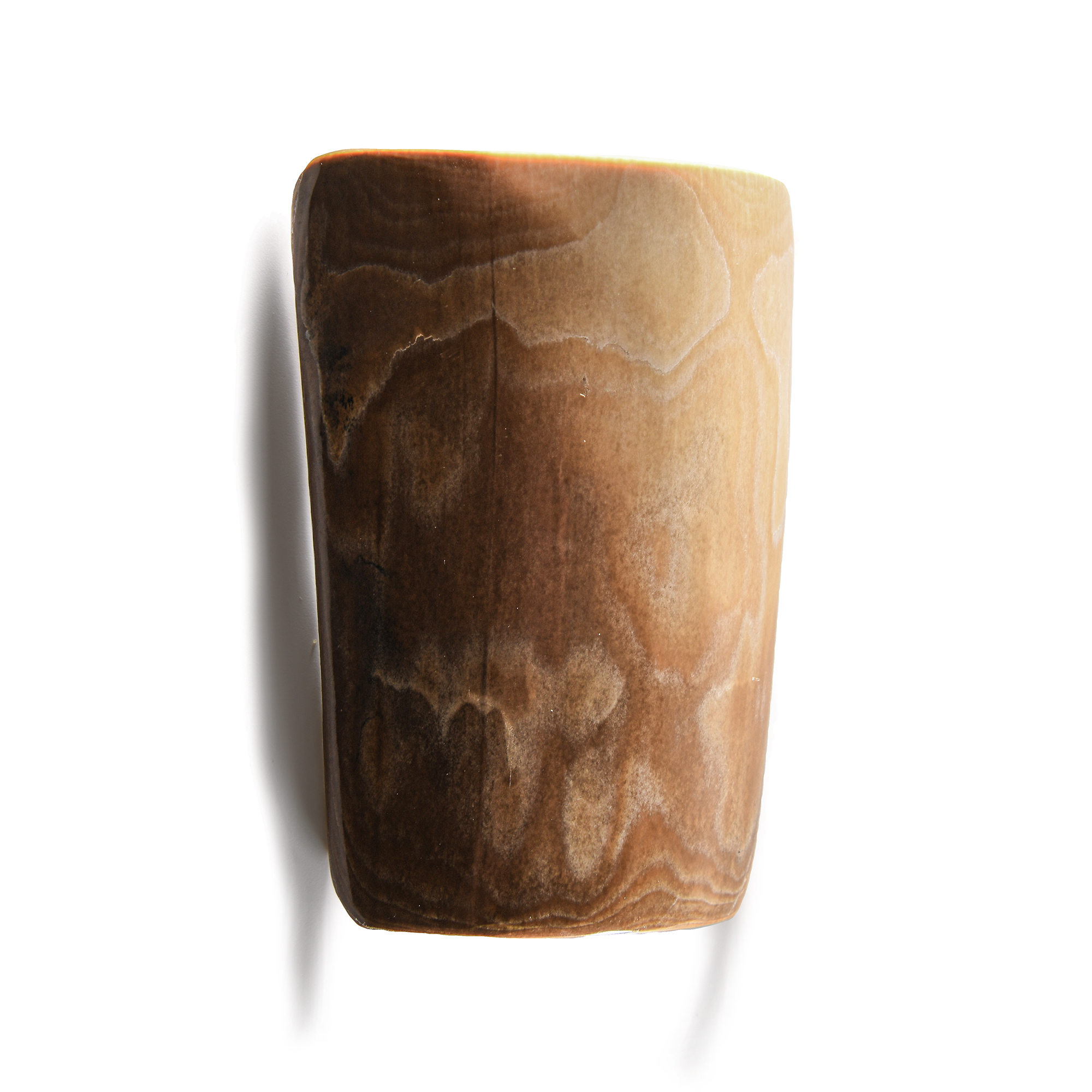 Natural History - Mammoth Tusk Section