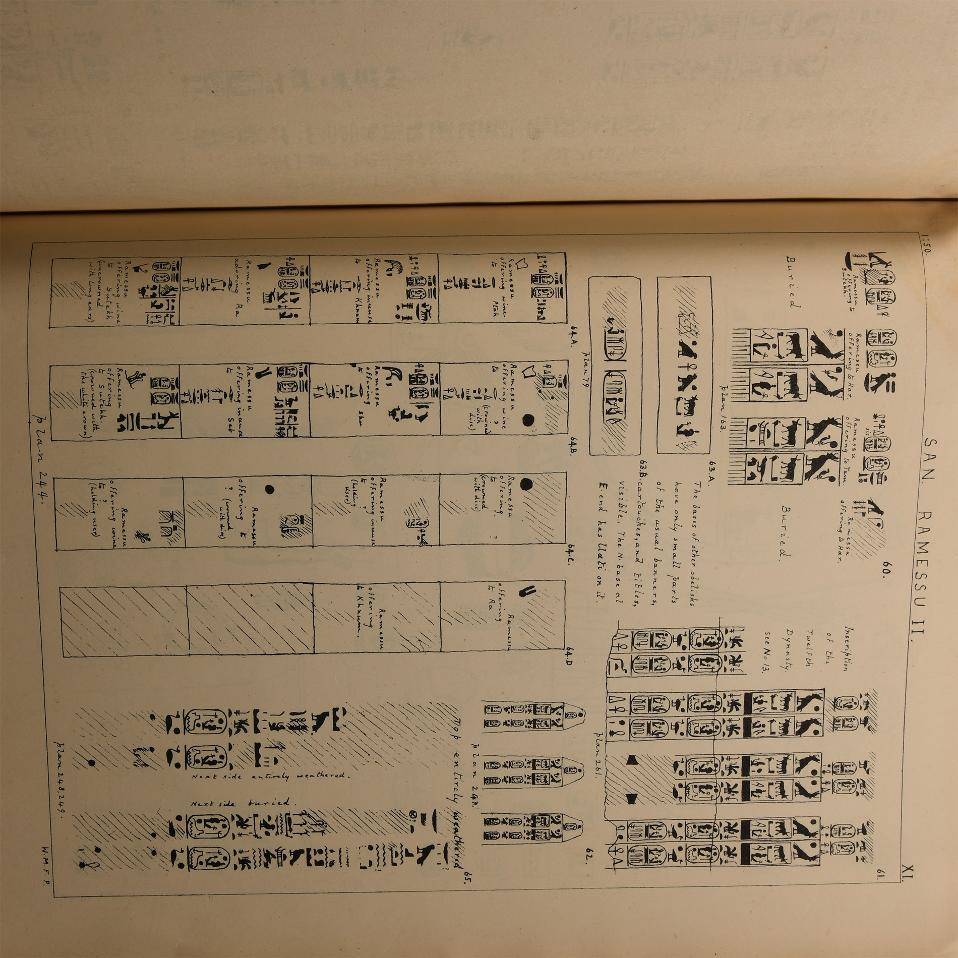Archaeological Books - Flinders Petrie, W.M. Tanis (Egypt), Part I