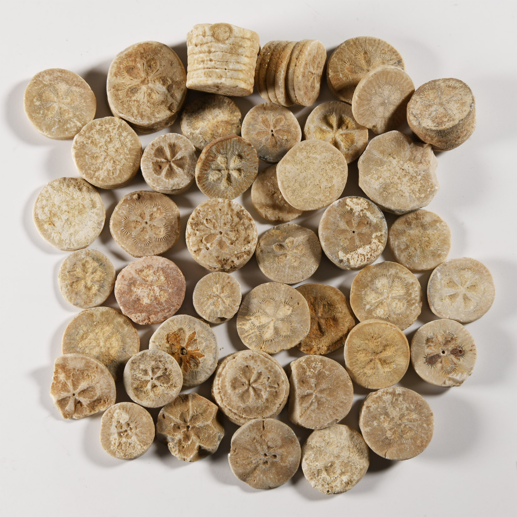 Egyptian Limestone Floral Inlay Group