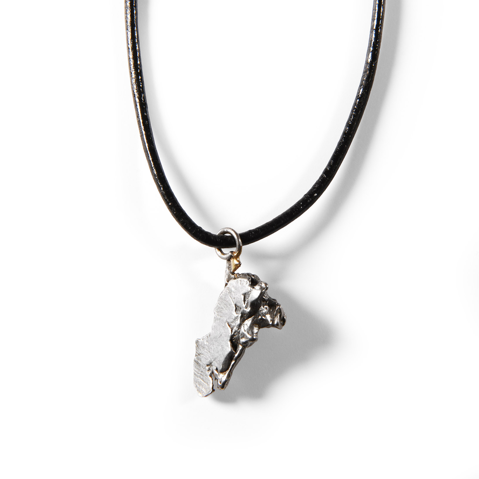 Natural History - Campo Del Cielo Iron Meteorite Necklace