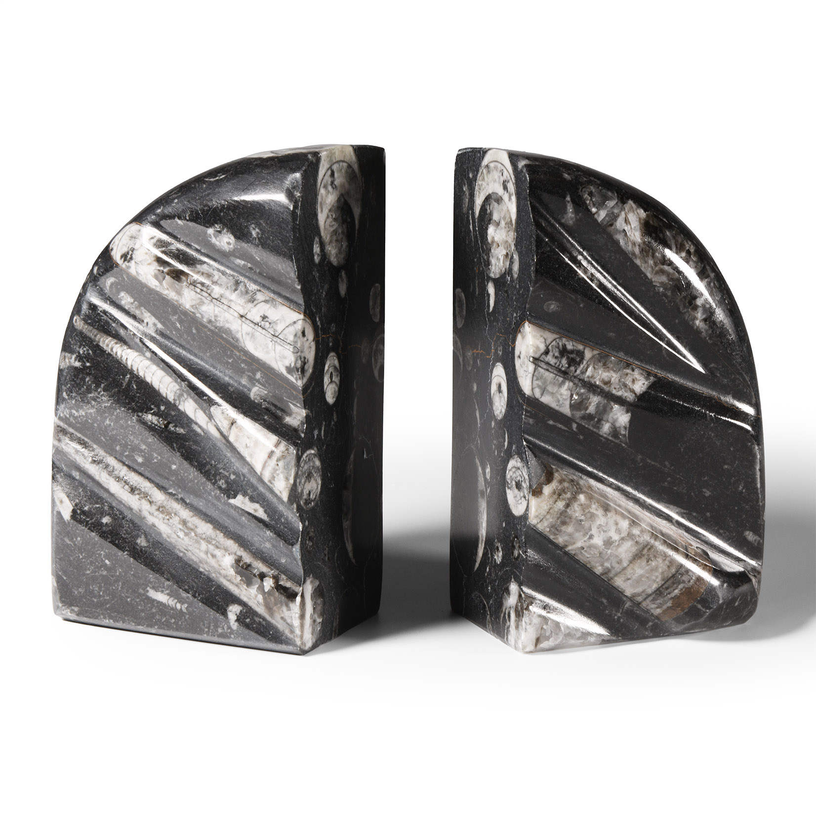 Natural History - Polished Fossil Orthoceras Book Ends