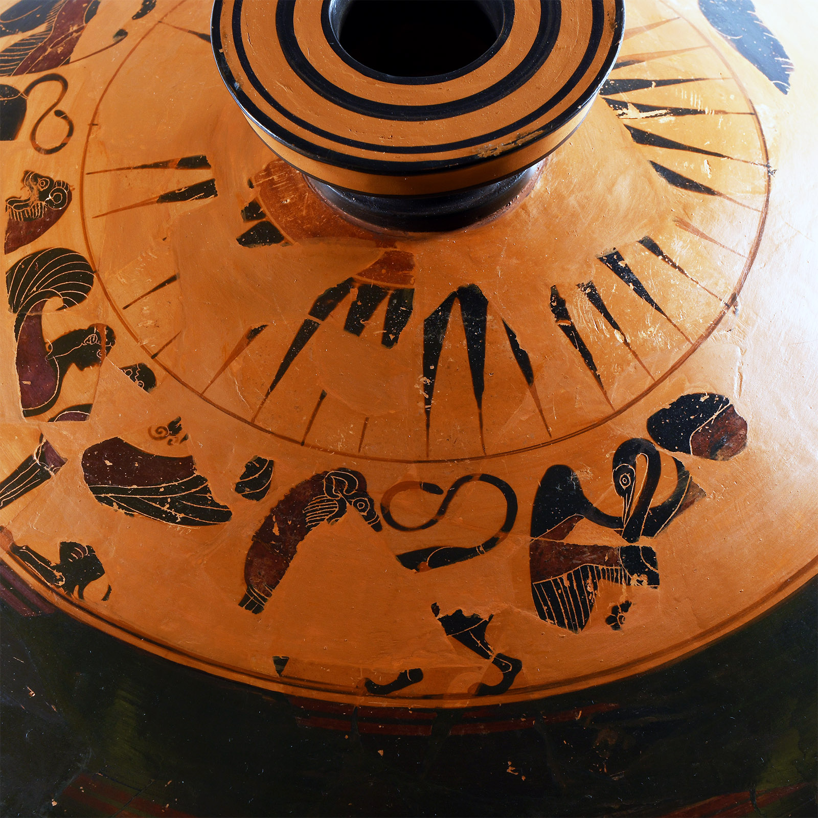 Huge Corinthian Black-Figure Lekanis Lid