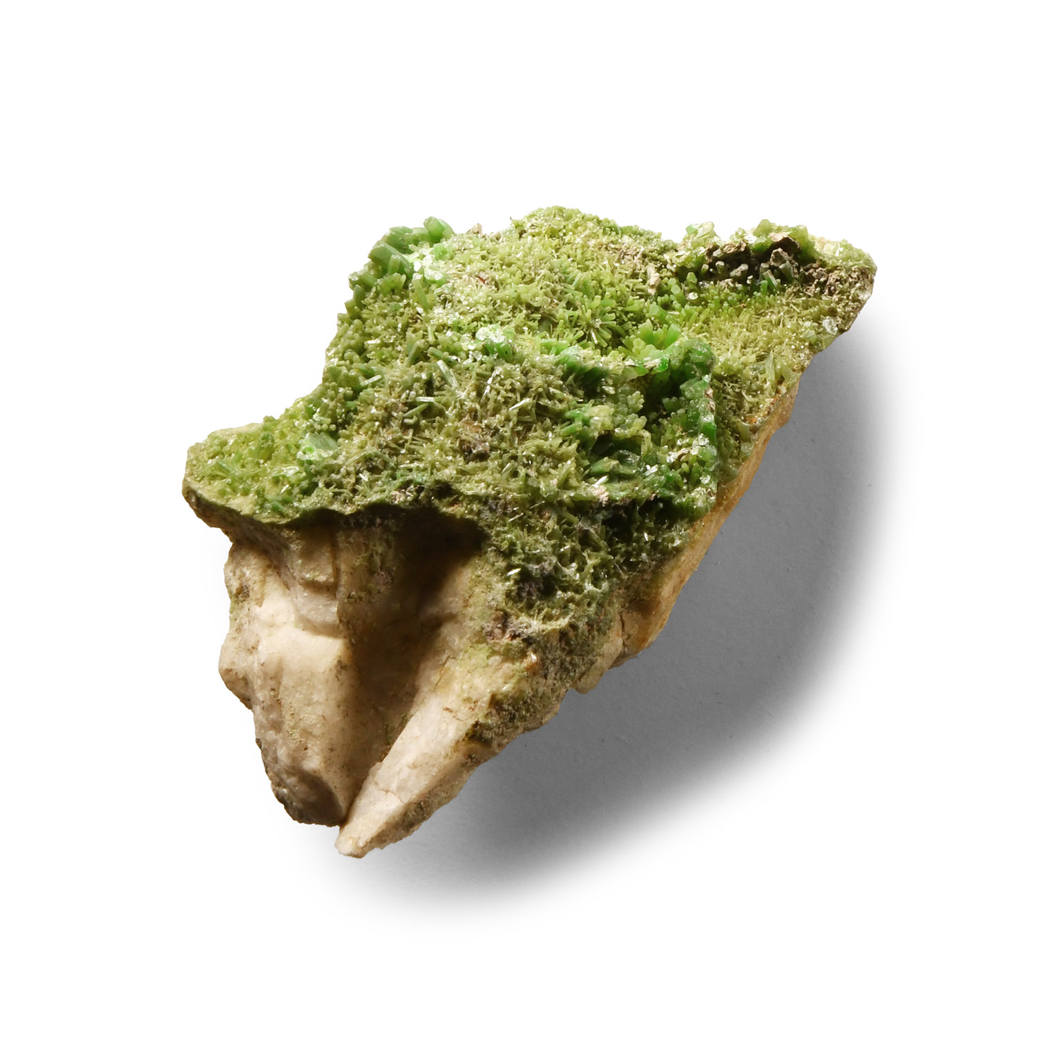 Natural History - Historic Green Mimetite Crystal Formation