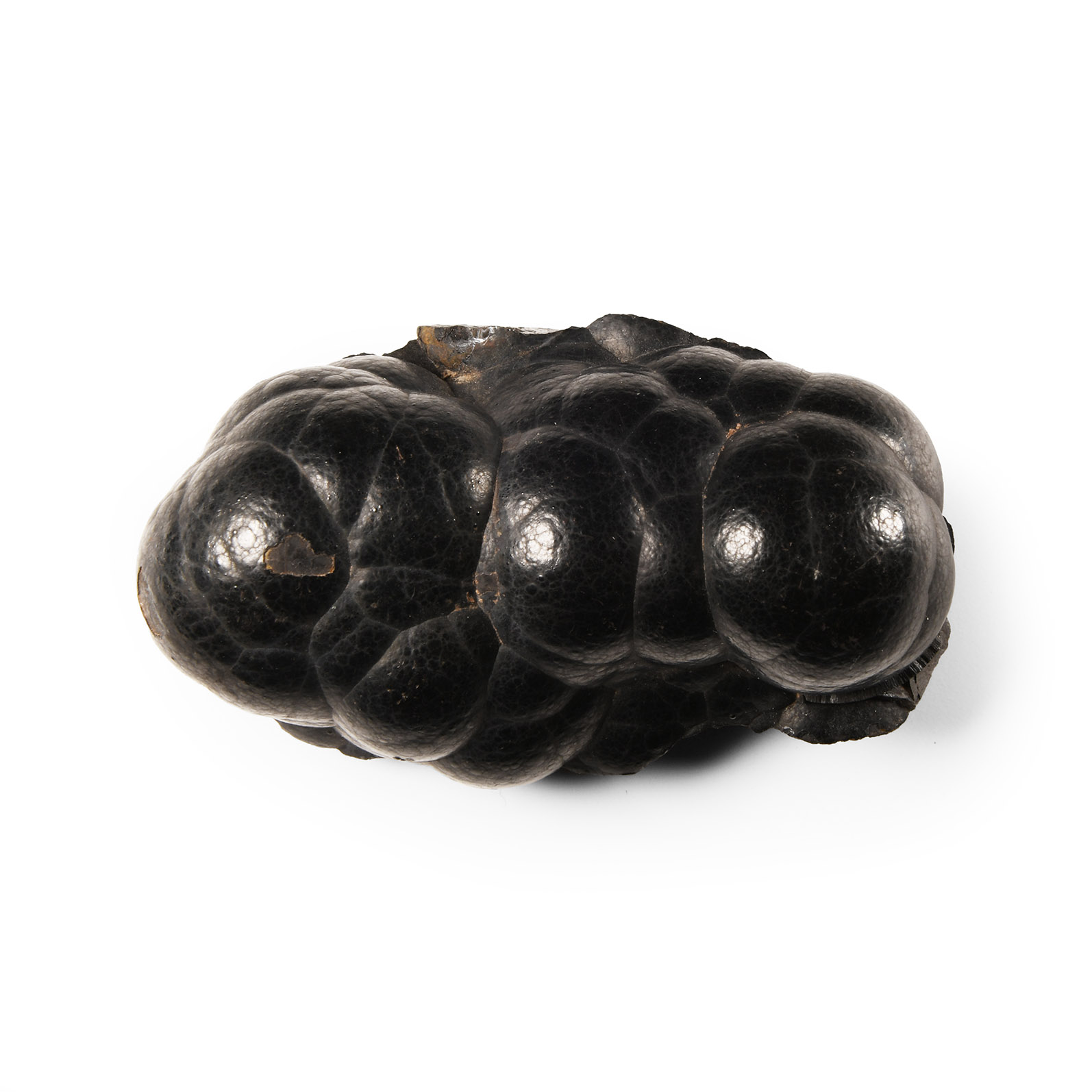 Natural History - Historic Botryoidal Haematite Mineral Specimen
