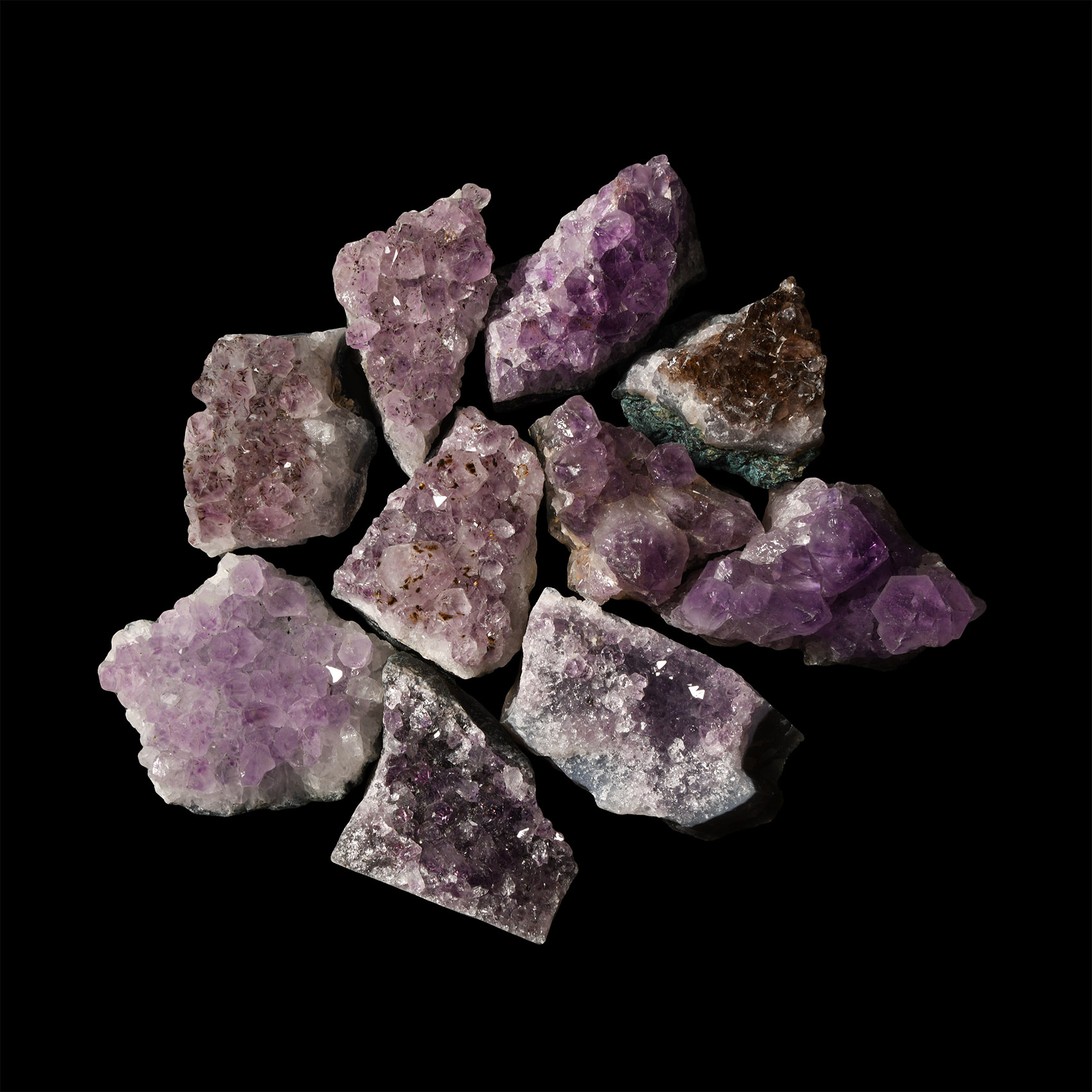 Natural History - Amethyst Crystal Geode Section Group [10]