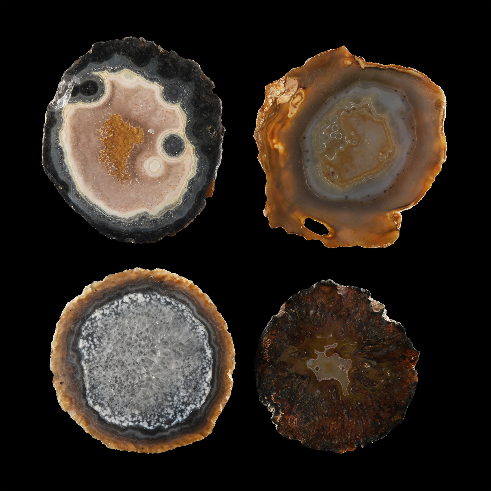 Natural History - Cut and Polished Agate Crystal Geode End Group [4]
