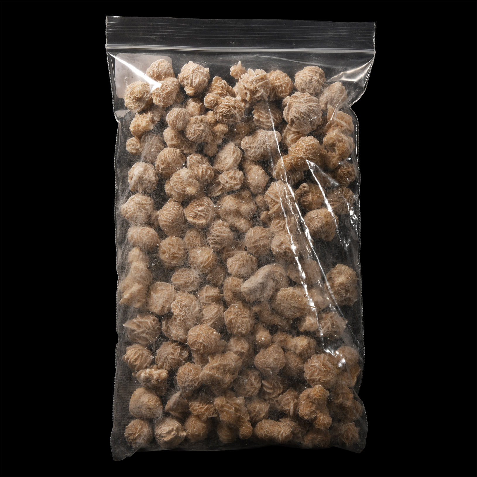 Natural History - Desert Rose Gypsum Specimen Group [100]
