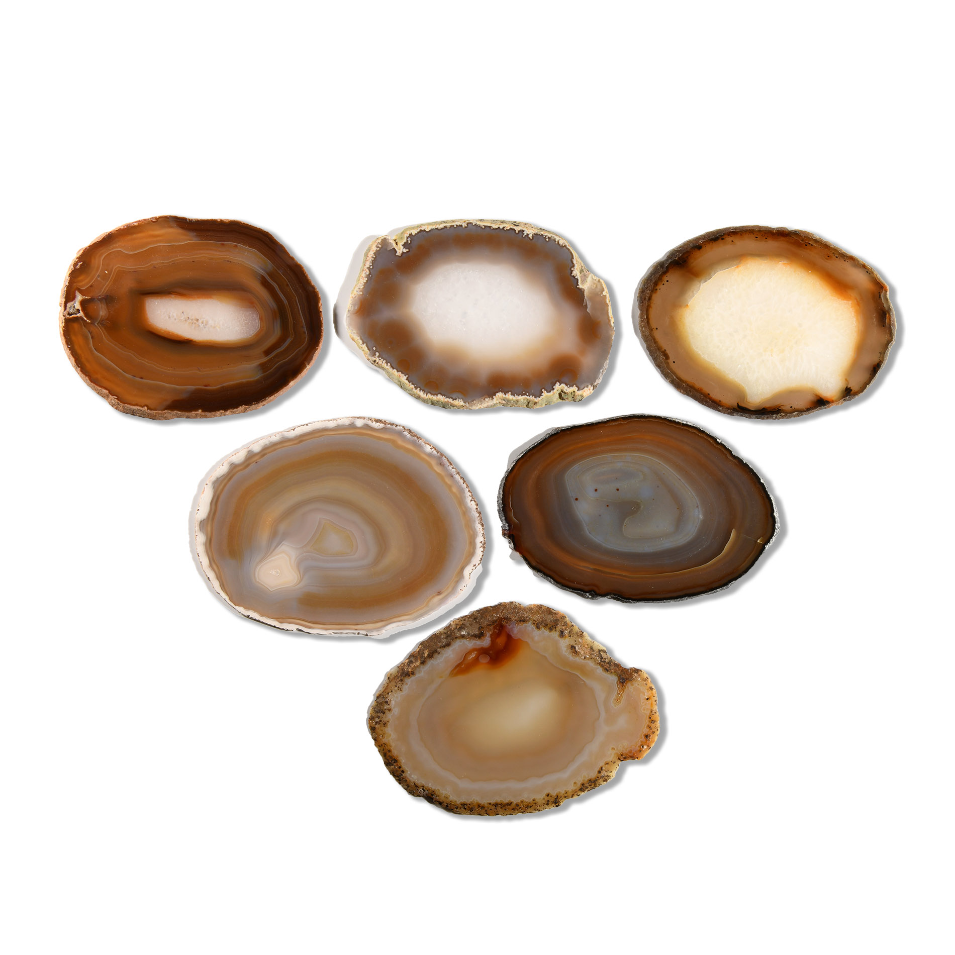 Natural History - Cut and Polished Agate Crystal Geode Slice Group [6]