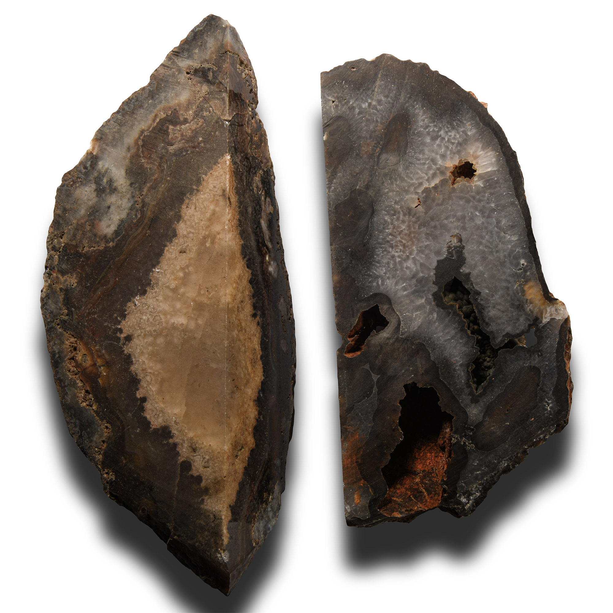 Natural History - Large Cut Agate Section Group [2]