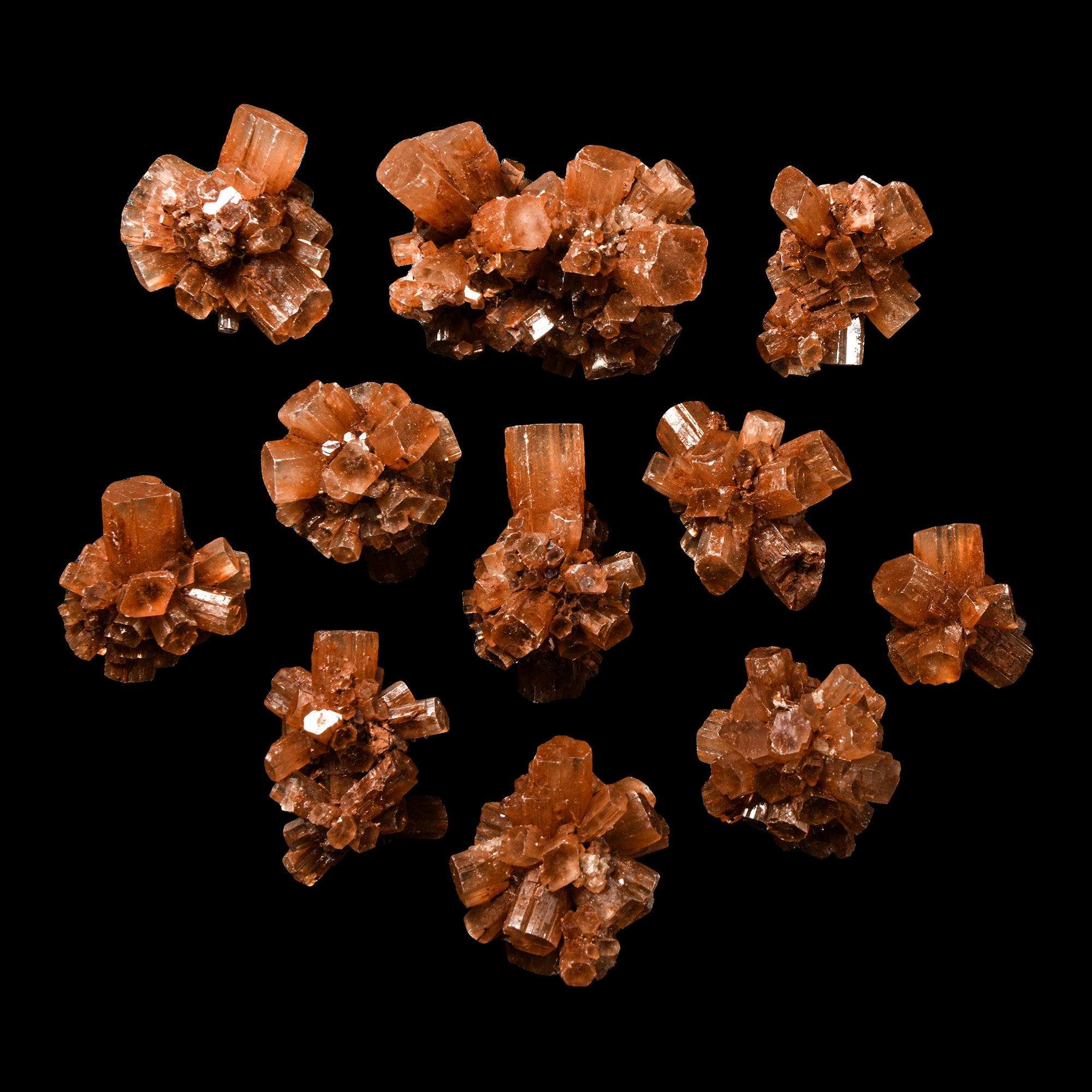 Natural History - Aragonite Crystal Specimen Group [11]