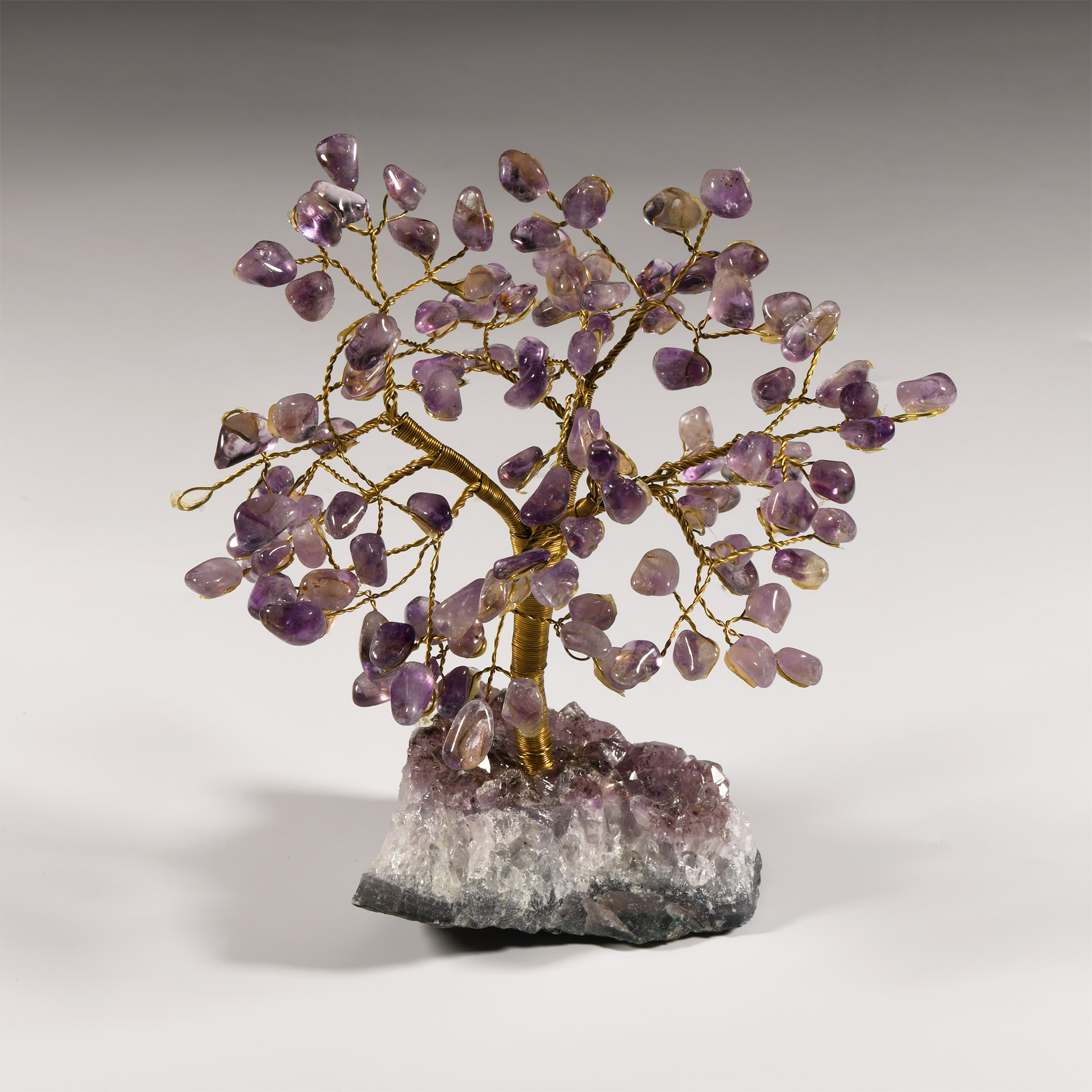 Natural History - Amethyst Gem Tree on Amethyst Crystal Geode Section