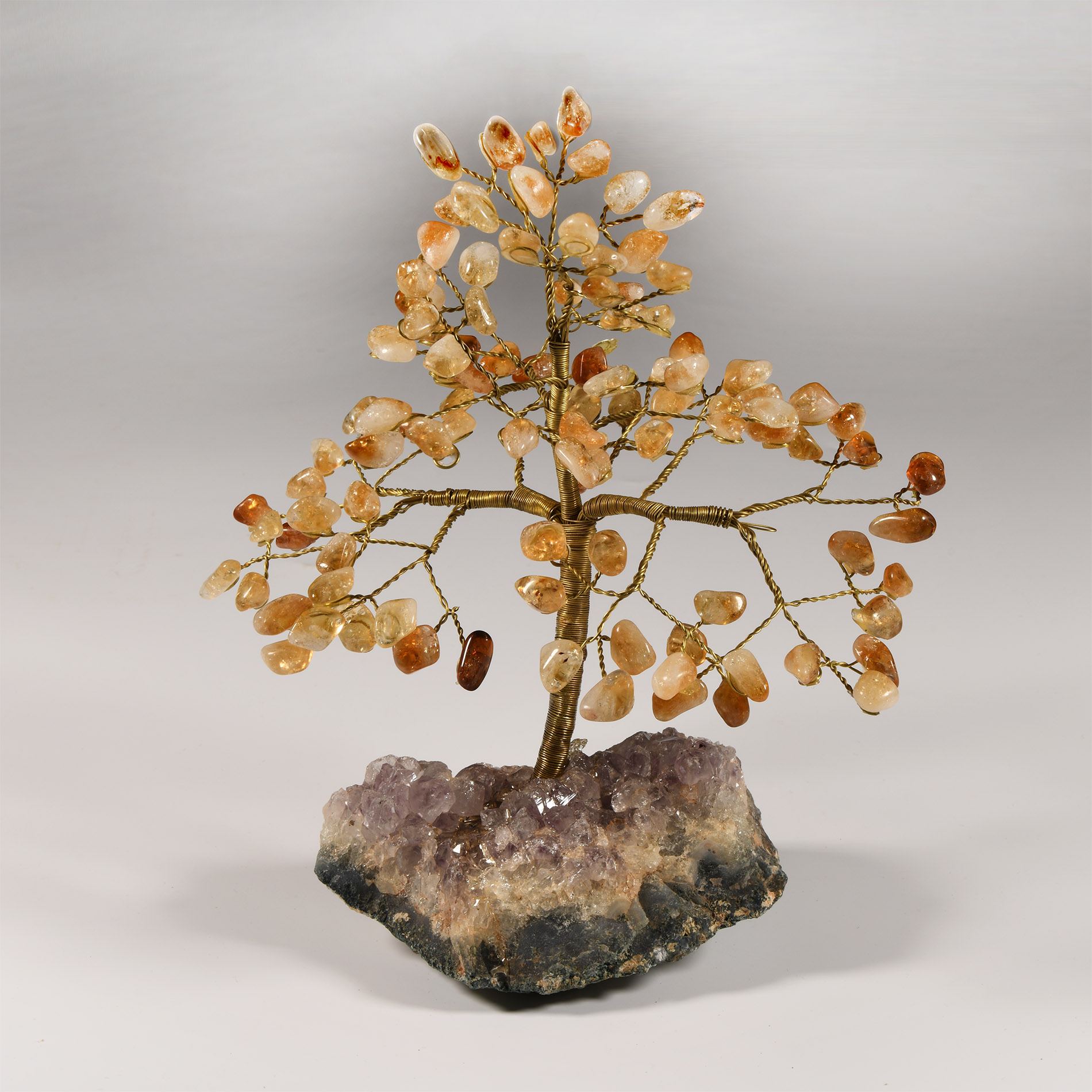 Natural History - Citrine Gem Tree on Amethyst Crystal Geode Section