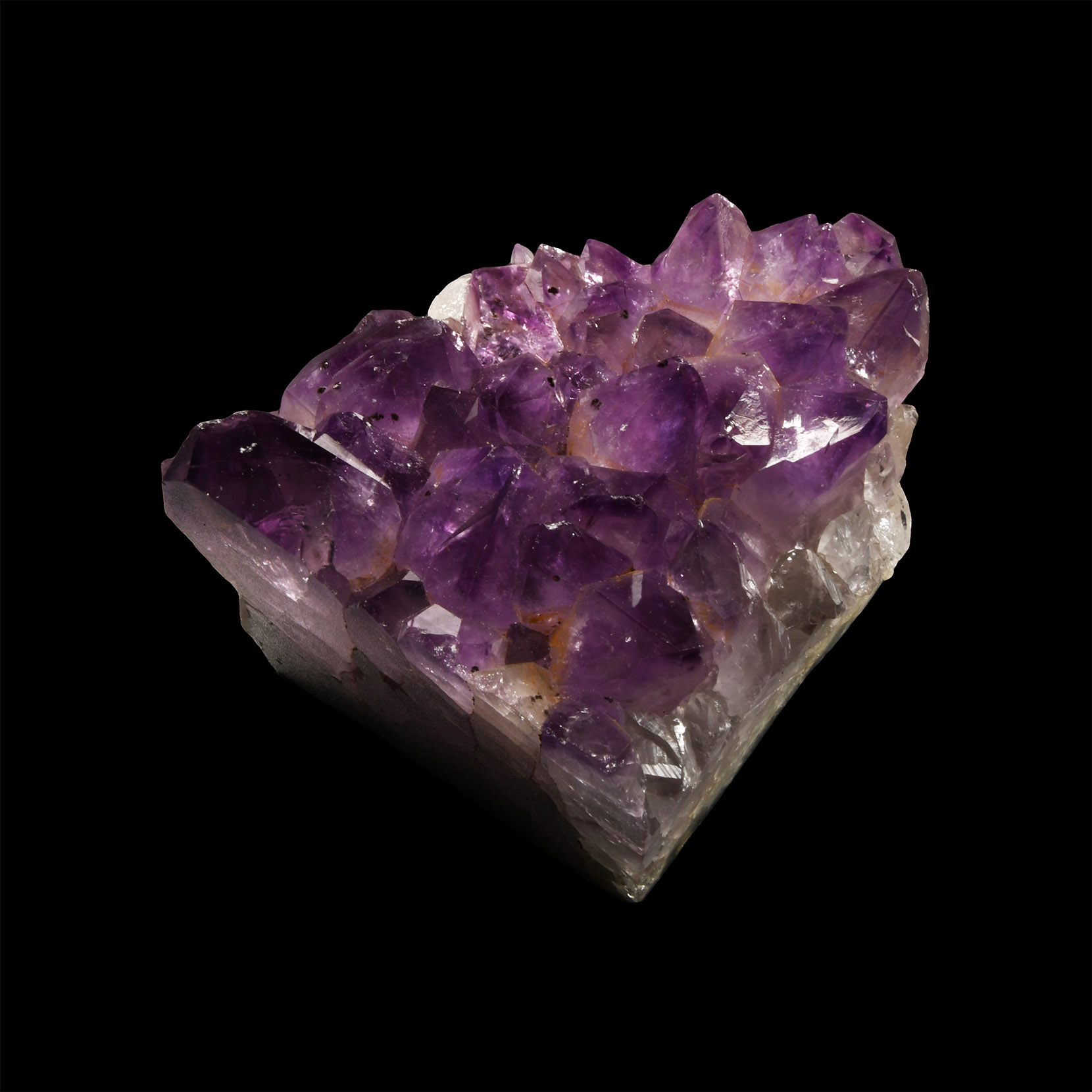 Natural History - Cut Amethyst Crystal Geode Segment