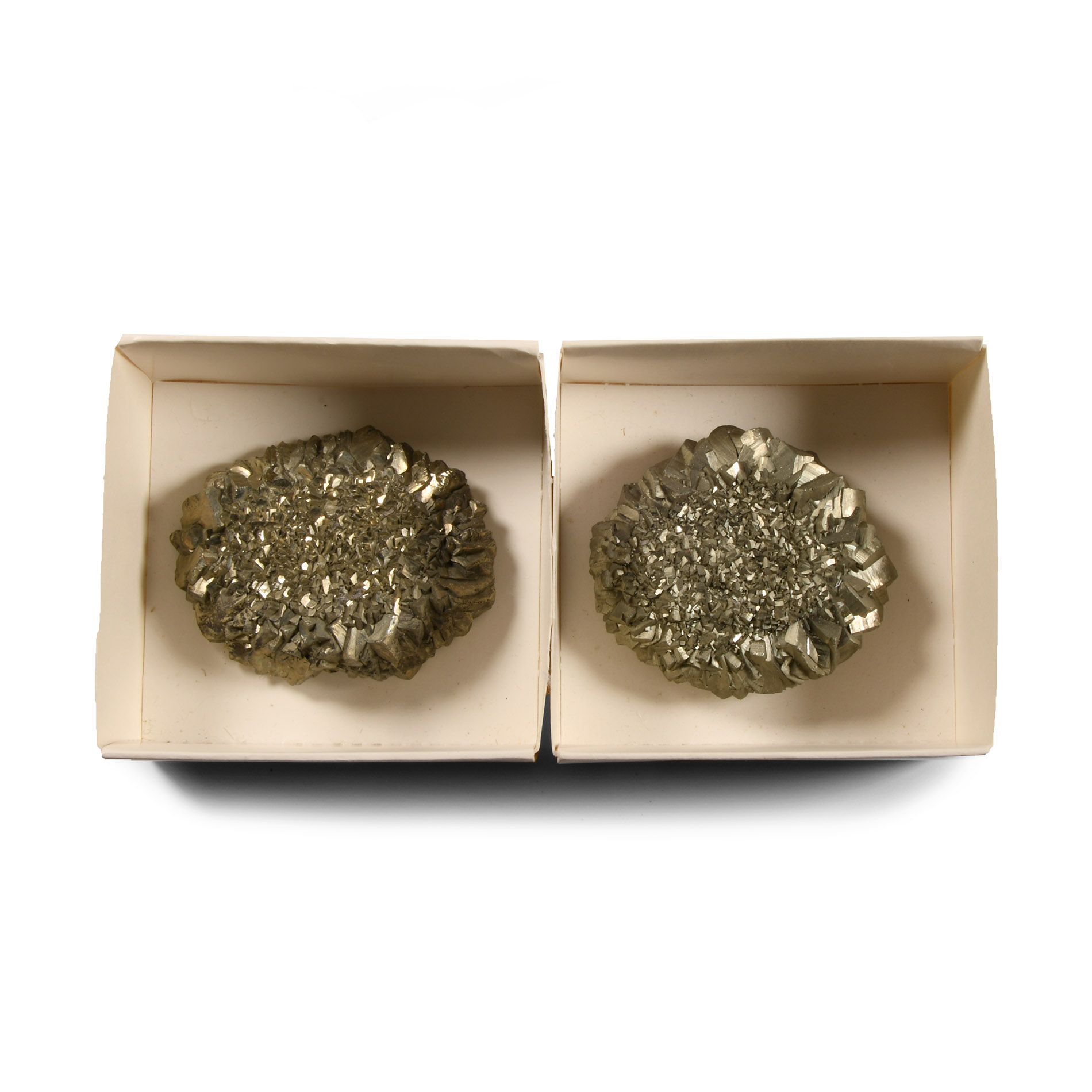 Natural History - Boxed Pyrite 'Fool's Gold' Crystal Rose Pair [2]
