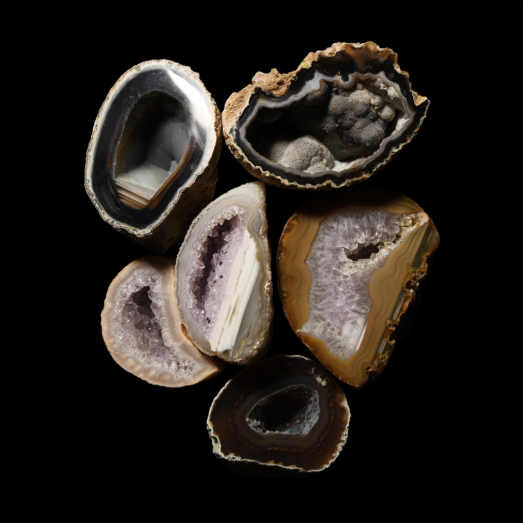 Natural History - Amethyst Crystal and Agate Geode Cut Half Collection [6]
