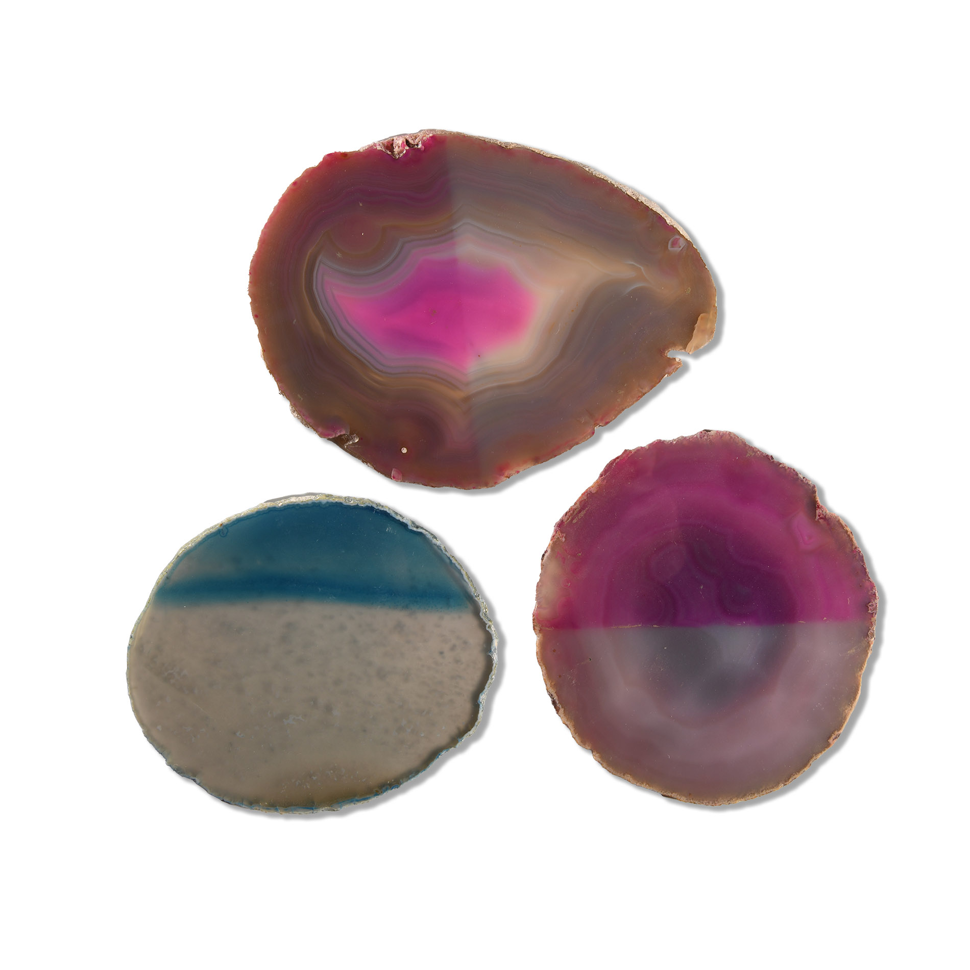 Natural History - Grade A Cut and Polished Agate Slice Collection [3]