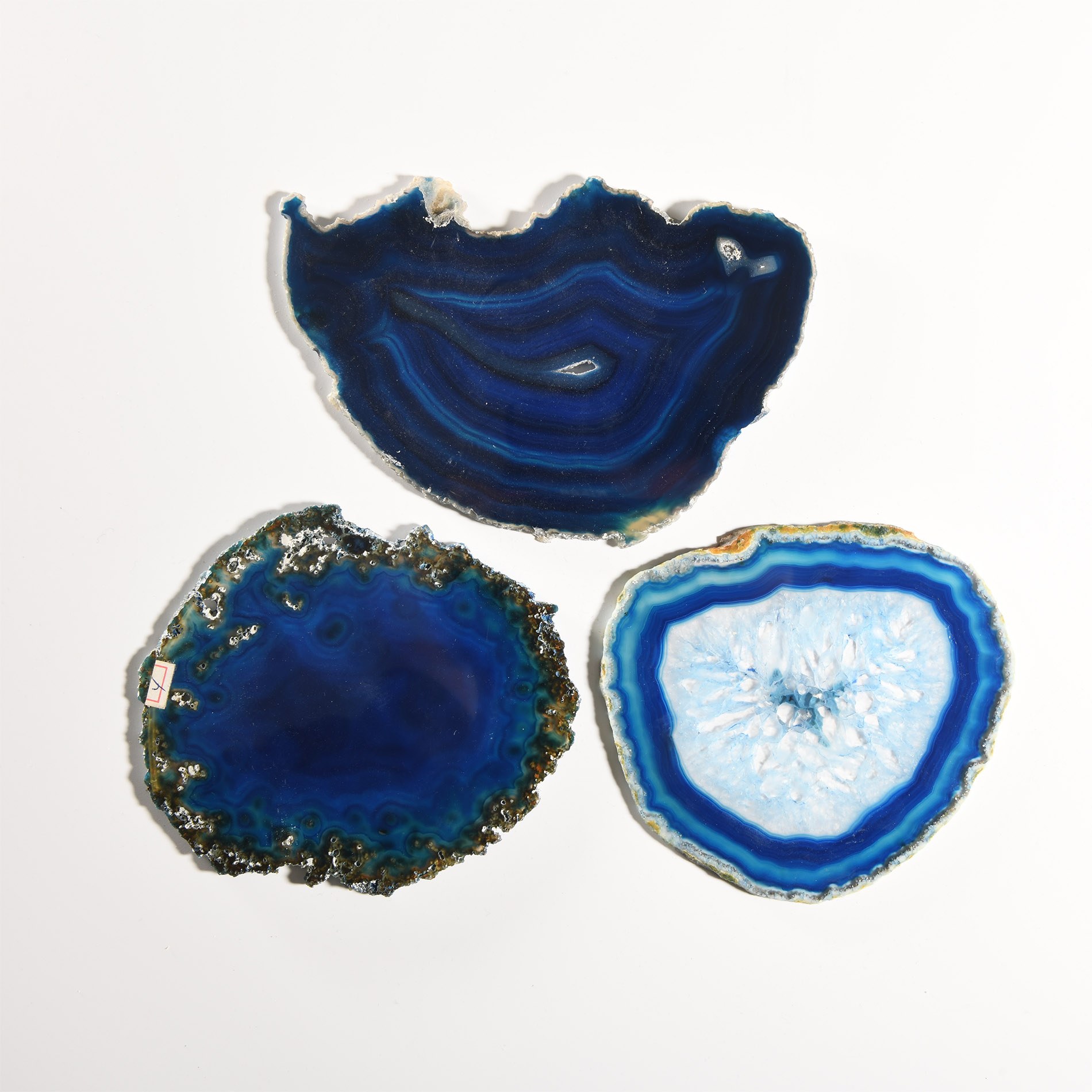 Natural History - Grade A Cut and Polished Agate Slice Collection [3]