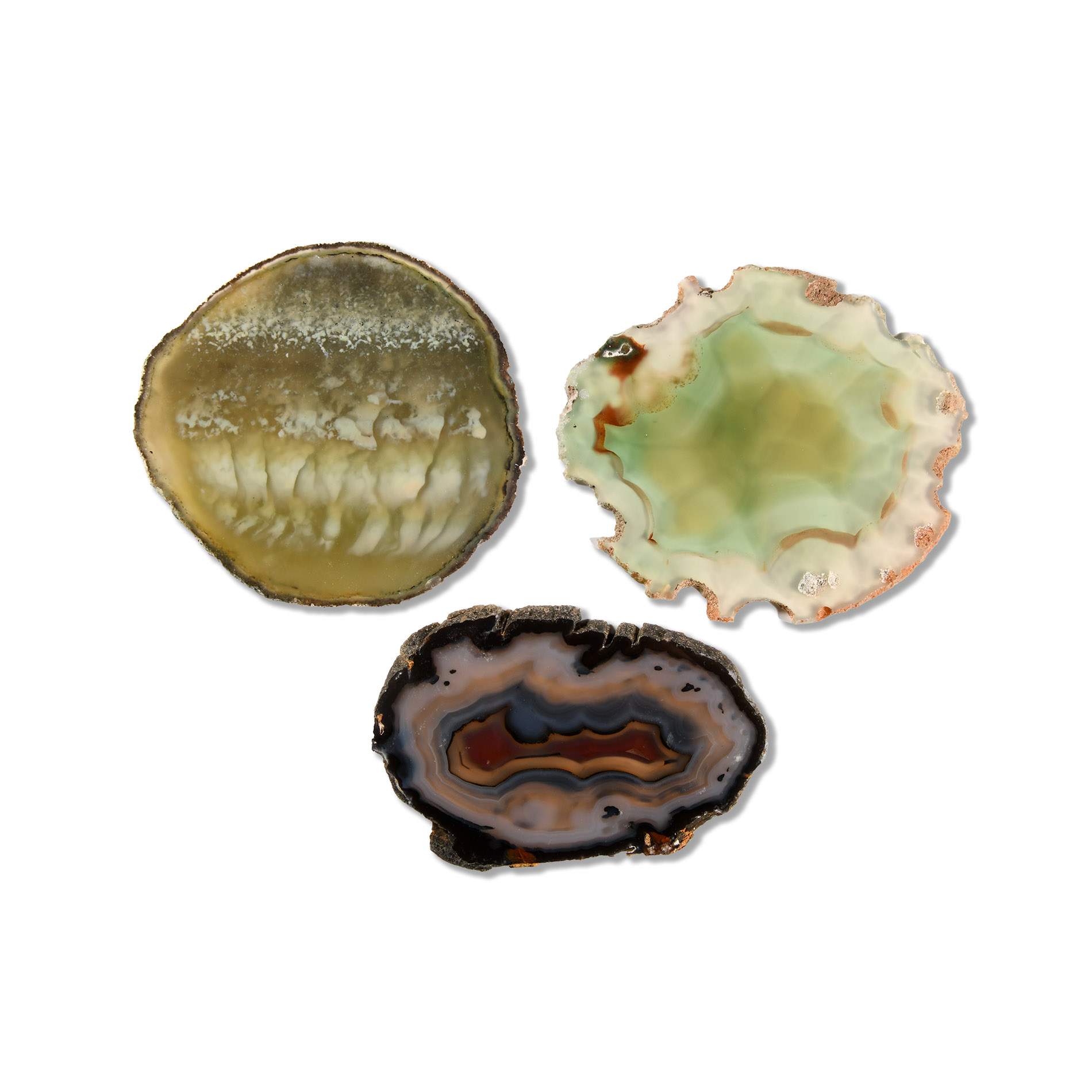 Natural History - Grade A Cut and Polished Agate Slice Collection [3]
