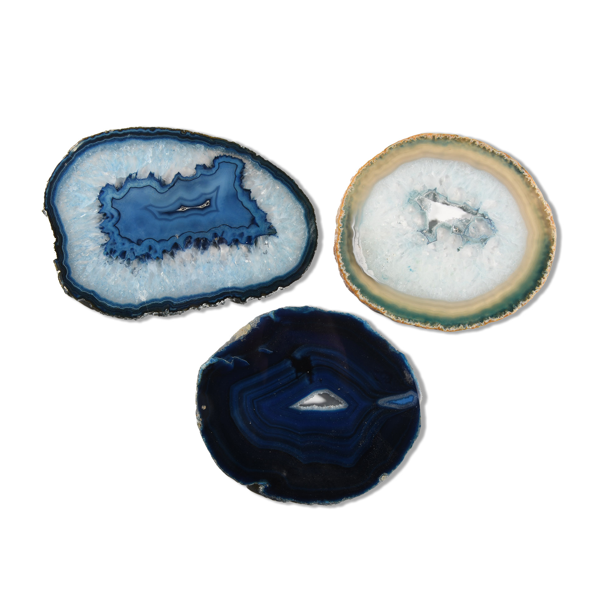 Natural History - Grade A Cut and Polished Agate Slice Collection [3]