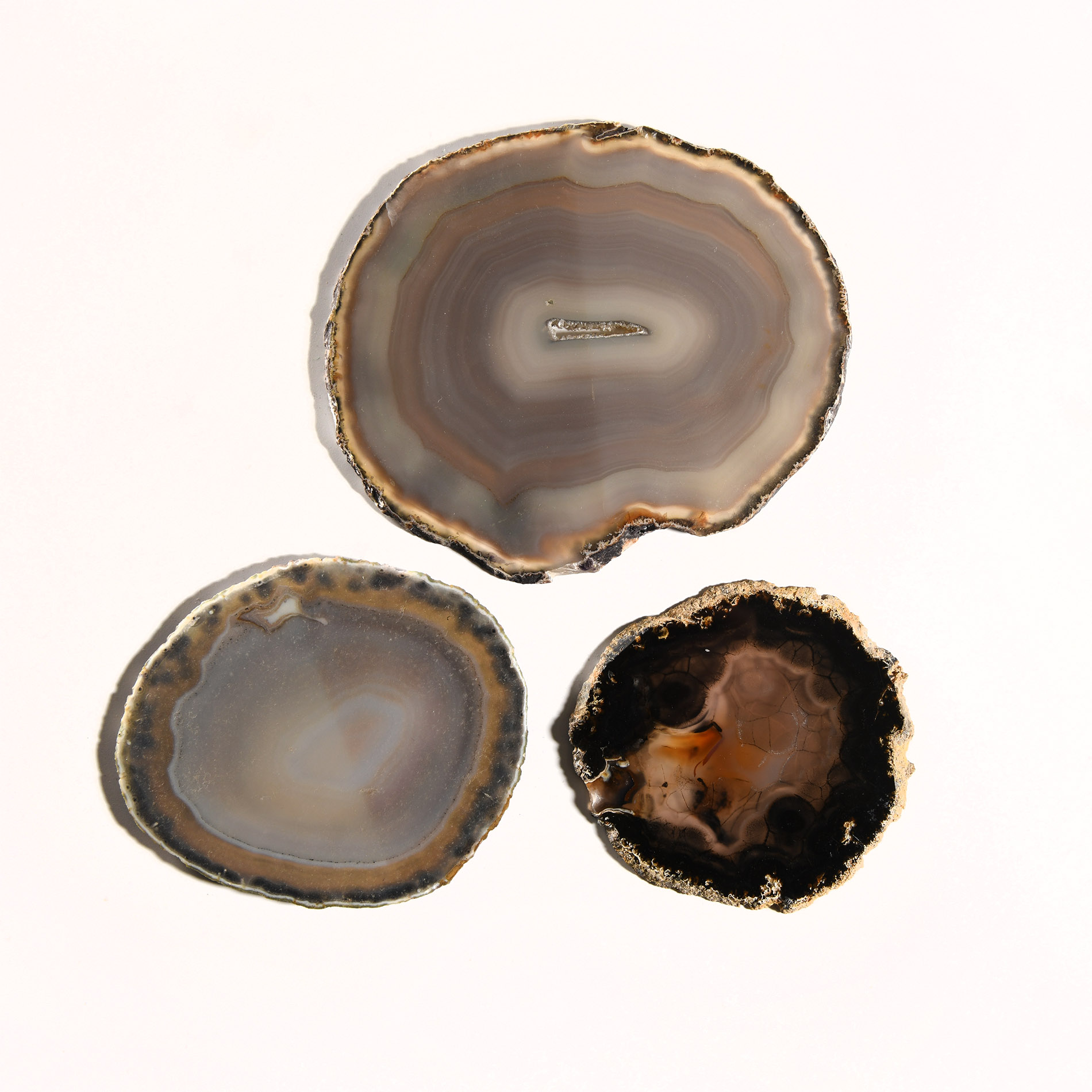 Natural History - Grade A Cut and Polished Agate Slice Collection [3]