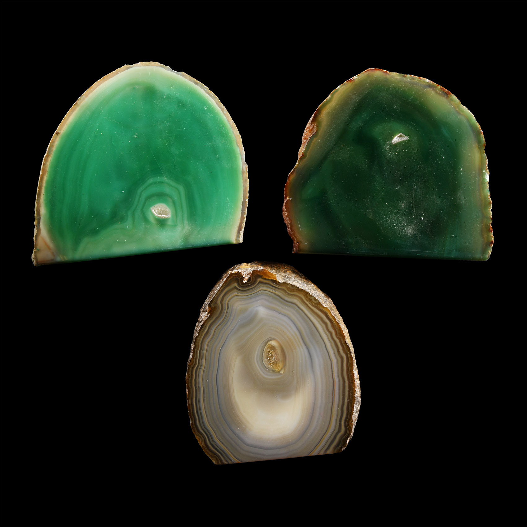 Natural History - Cut and Polished Agate Section Group [3]