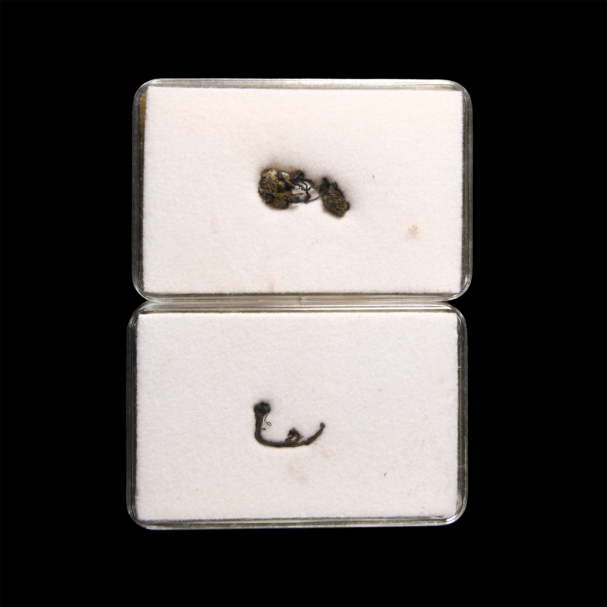 Natural History - Cased Native Silver Wire Specimen Group [2]