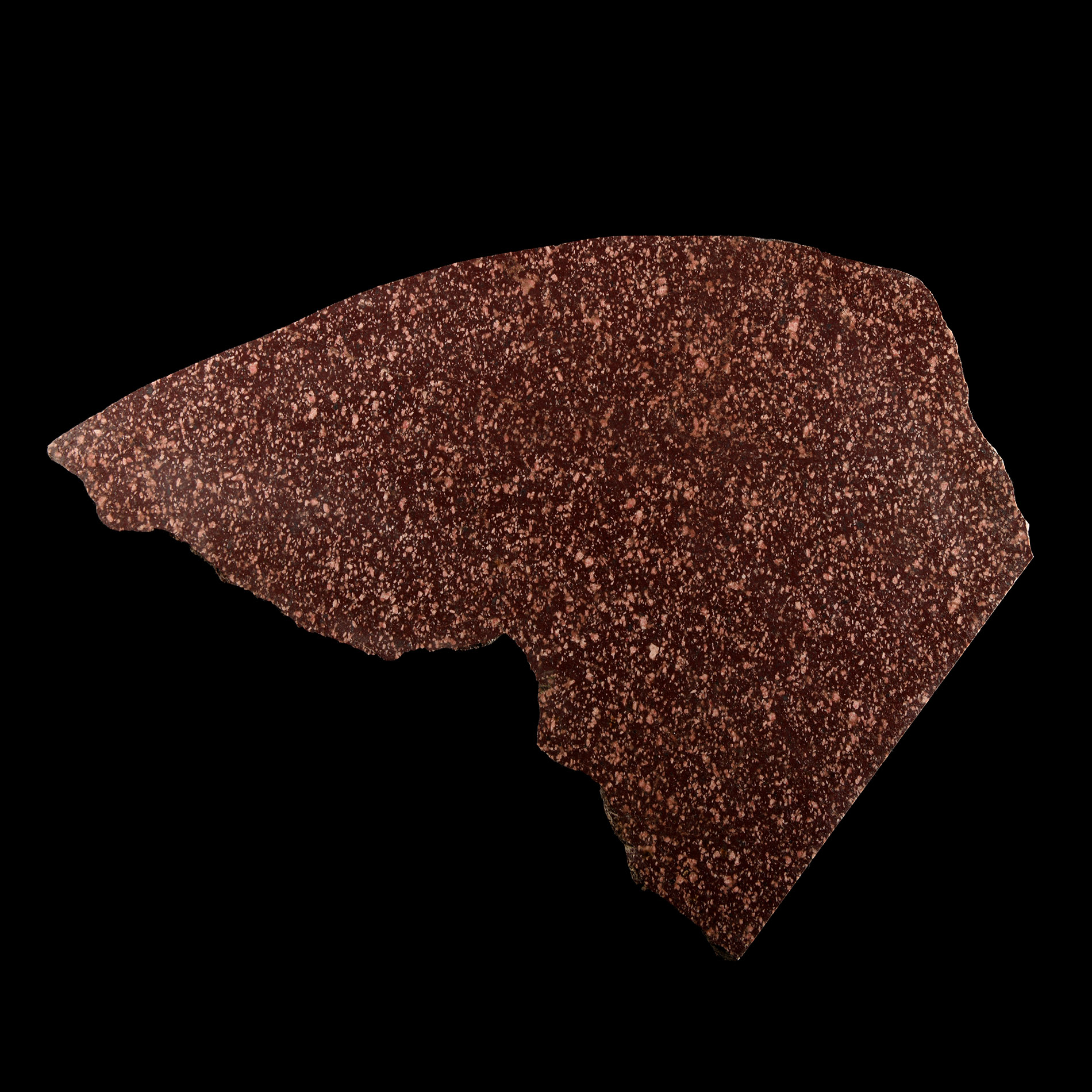 Natural History - Large Historic Cut & Polished Porphyry Slice