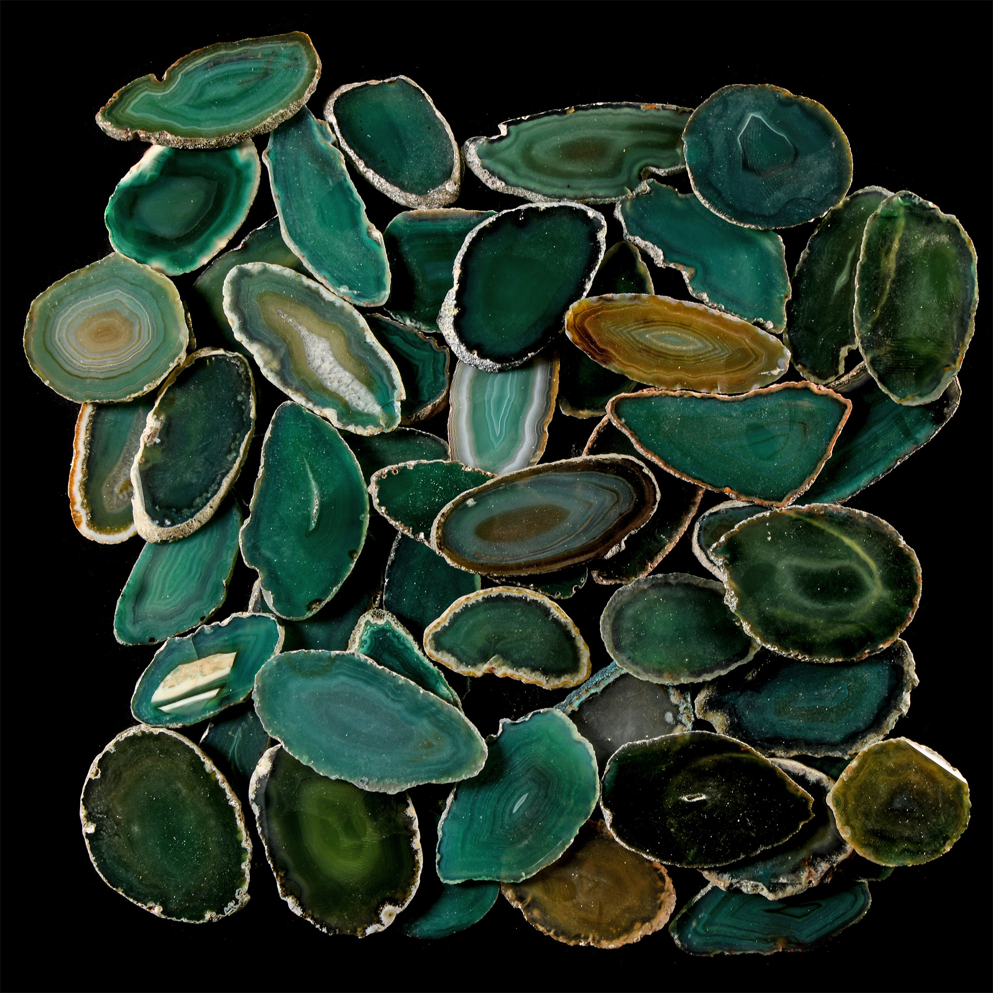 Natural History - Agate Crystal Cut and Polished Slice Group [50]
