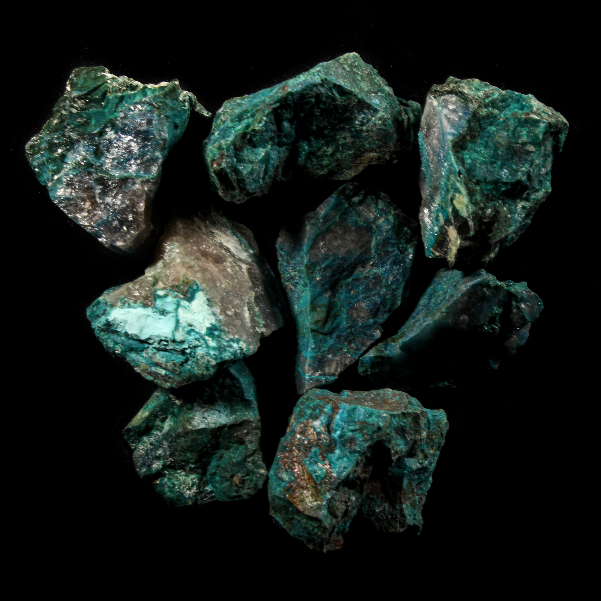Natural History - Chrysocolla Mineral Sample Group [8]
