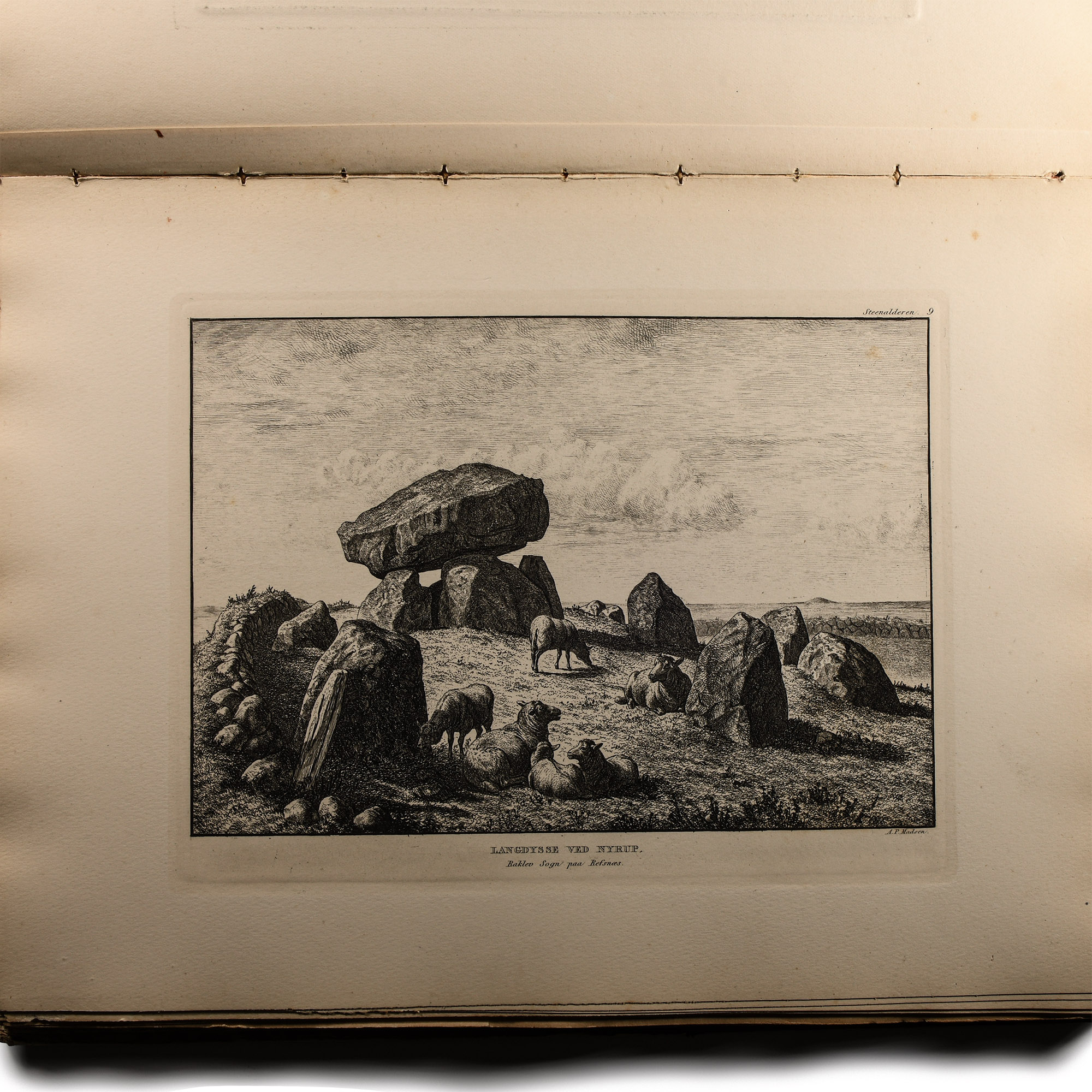 Archaeological Books - Madsen - Antiquites Prehistoriques du Danemark