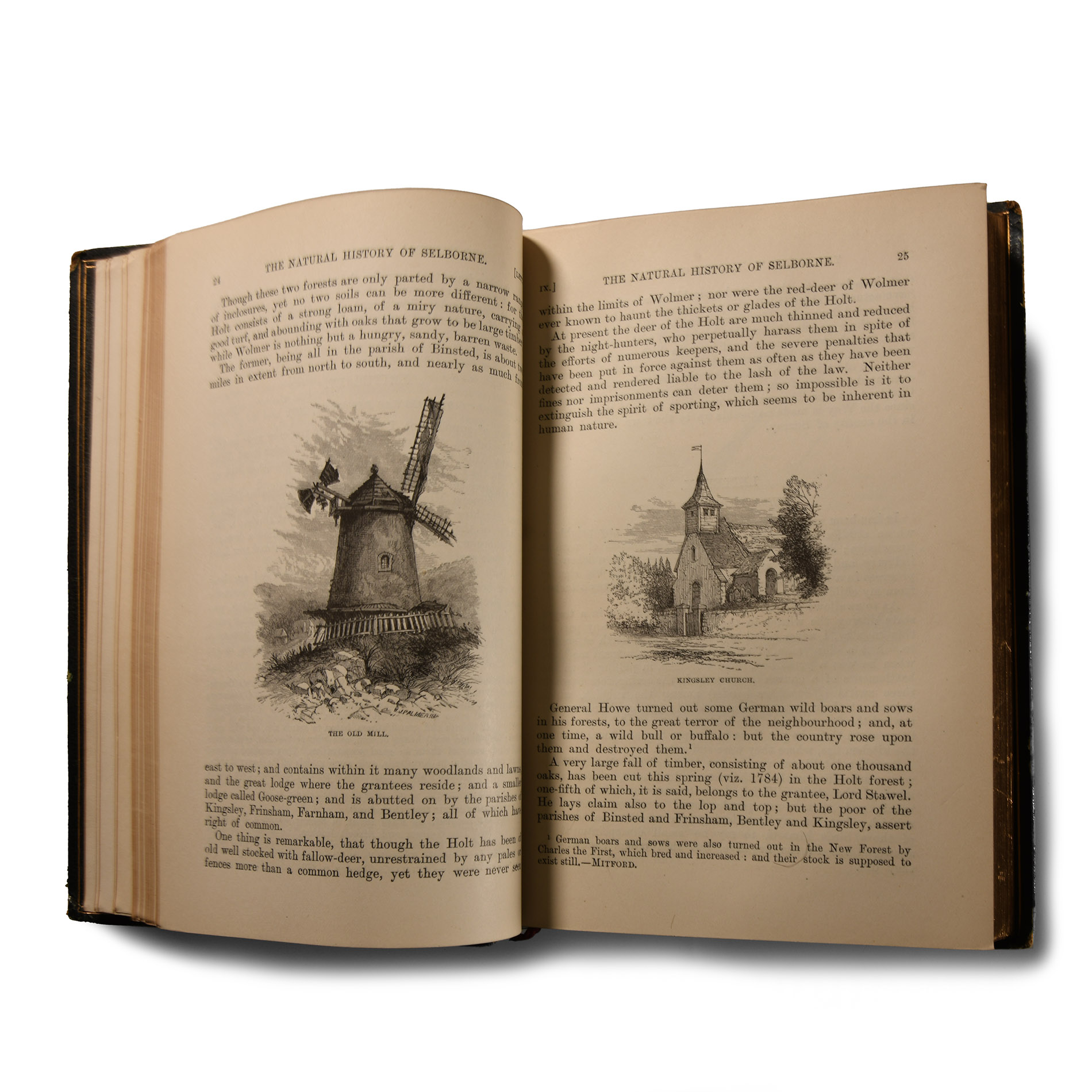 Archaeological Books - White - Natural History and Antiquities of Selborne