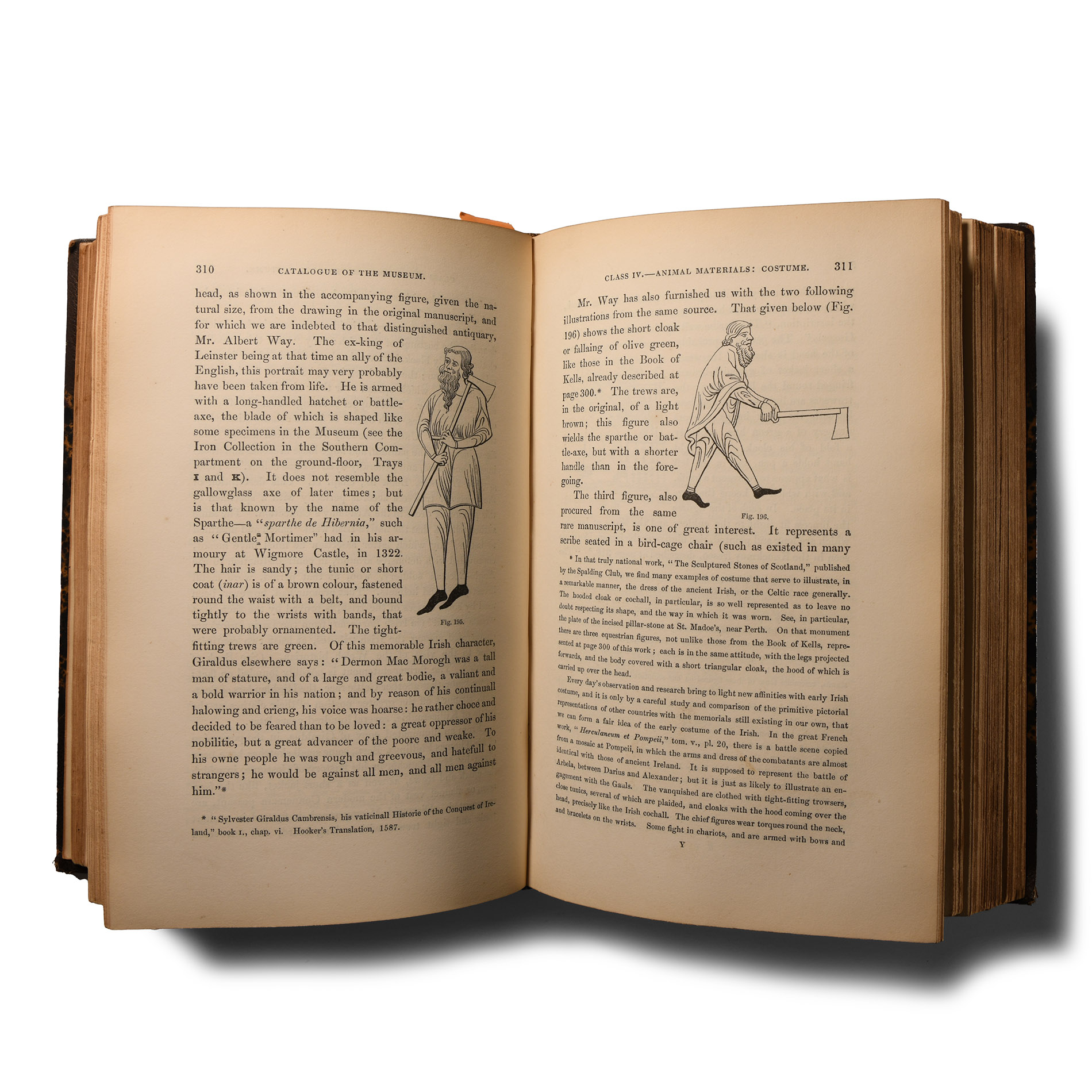 Archaeological Books - Wilde - Catalogue of The Antiquities of Stone, Earthen, and Vegetable Materials, in the Museum of the Royal Irish Academy