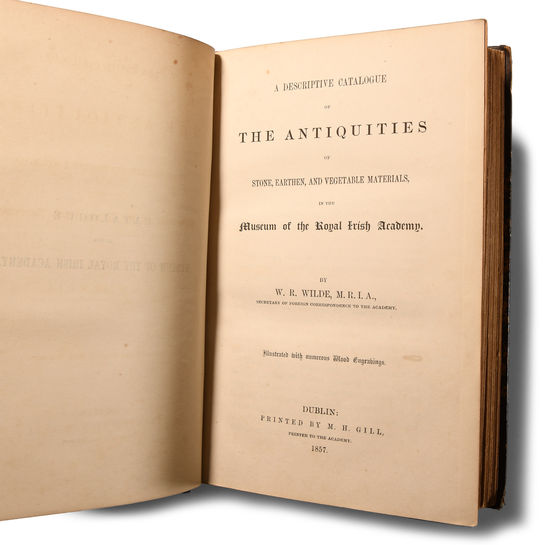 Archaeological Books - Wilde - Catalogue of The Antiquities of Stone, Earthen, and Vegetable Materials, in the Museum of the Royal Irish Academy