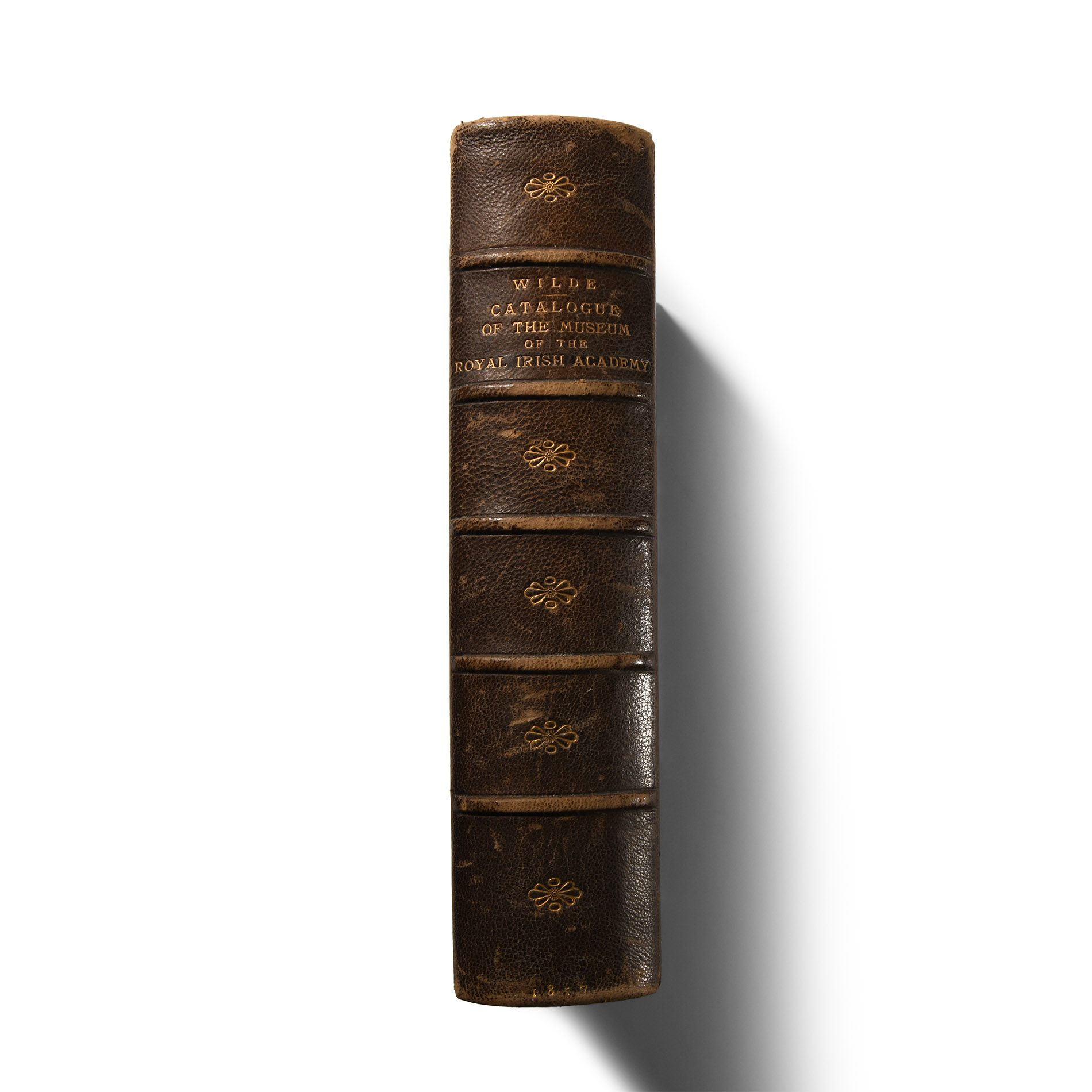 Archaeological Books - Wilde - Catalogue of The Antiquities of Stone, Earthen, and Vegetable Materials, in the Museum of the Royal Irish Academy