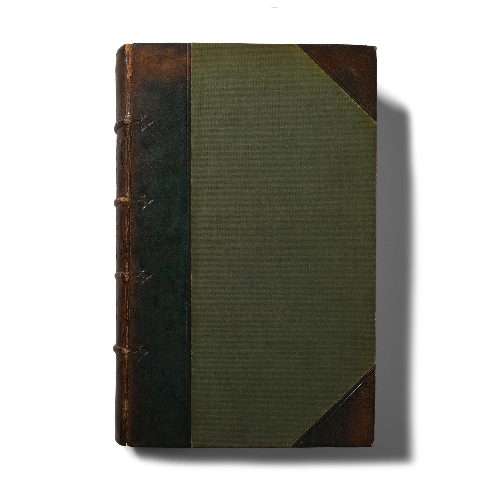 Archaeological Books - Wilde - Catalogue of The Antiquities of Animal Materials and Bronze, in the Museum of the Royal Irish Academy