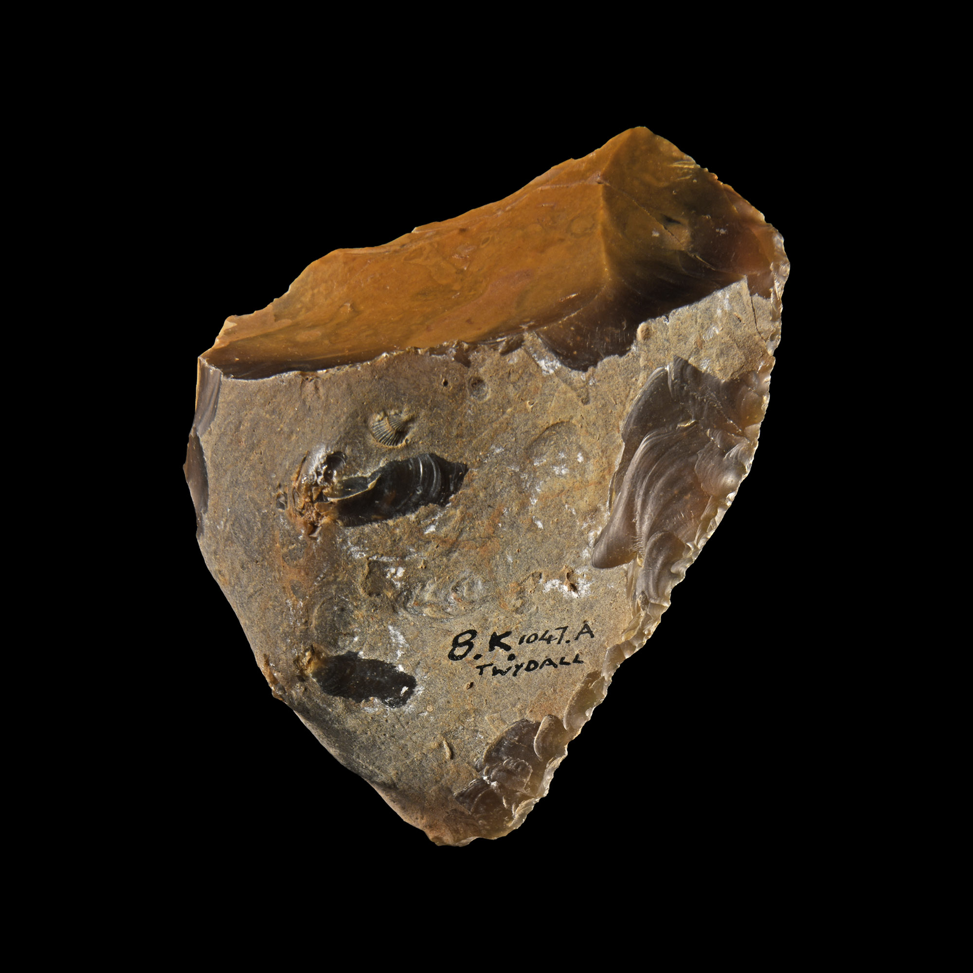 Large Stone Age Twydall Knapped Flint Scraper Tool