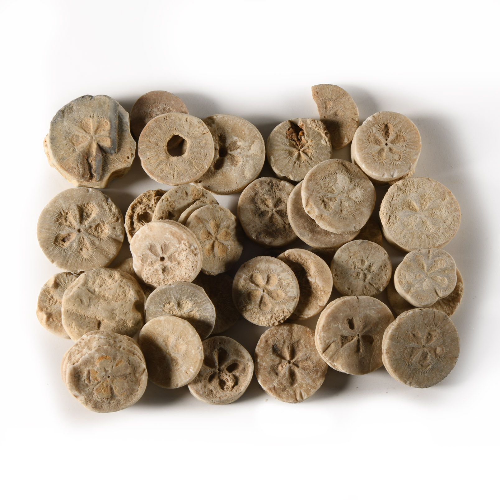 Romano-Egyptian Limestone 'Floral' Inlay Group