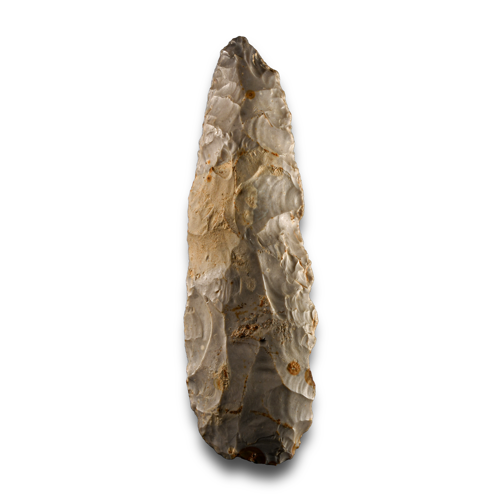 Elegant Stone Age 'Salisbury' Slender Grey Knapped Flint Adze