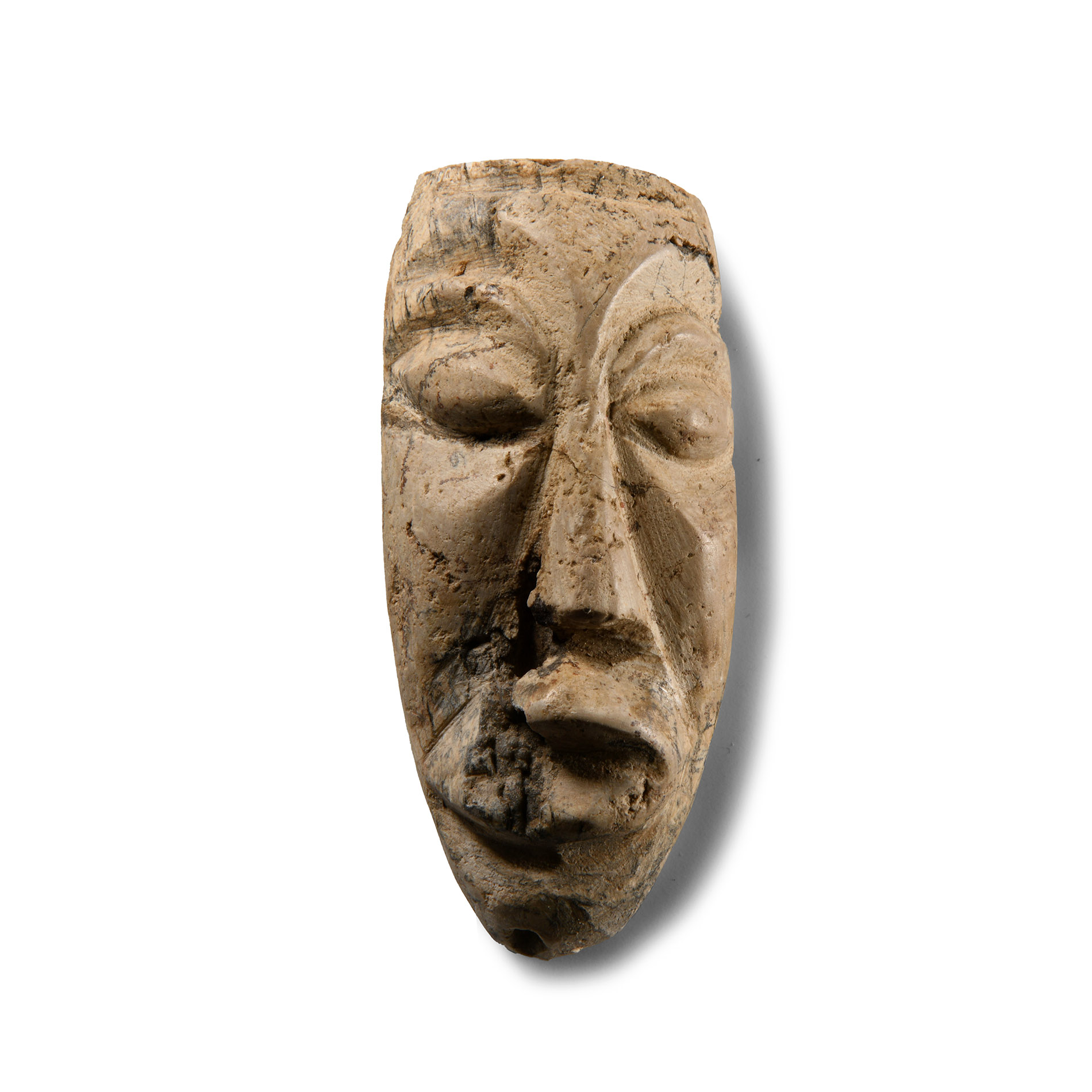 Natural History - Mastodon Fossil Tusk Carving