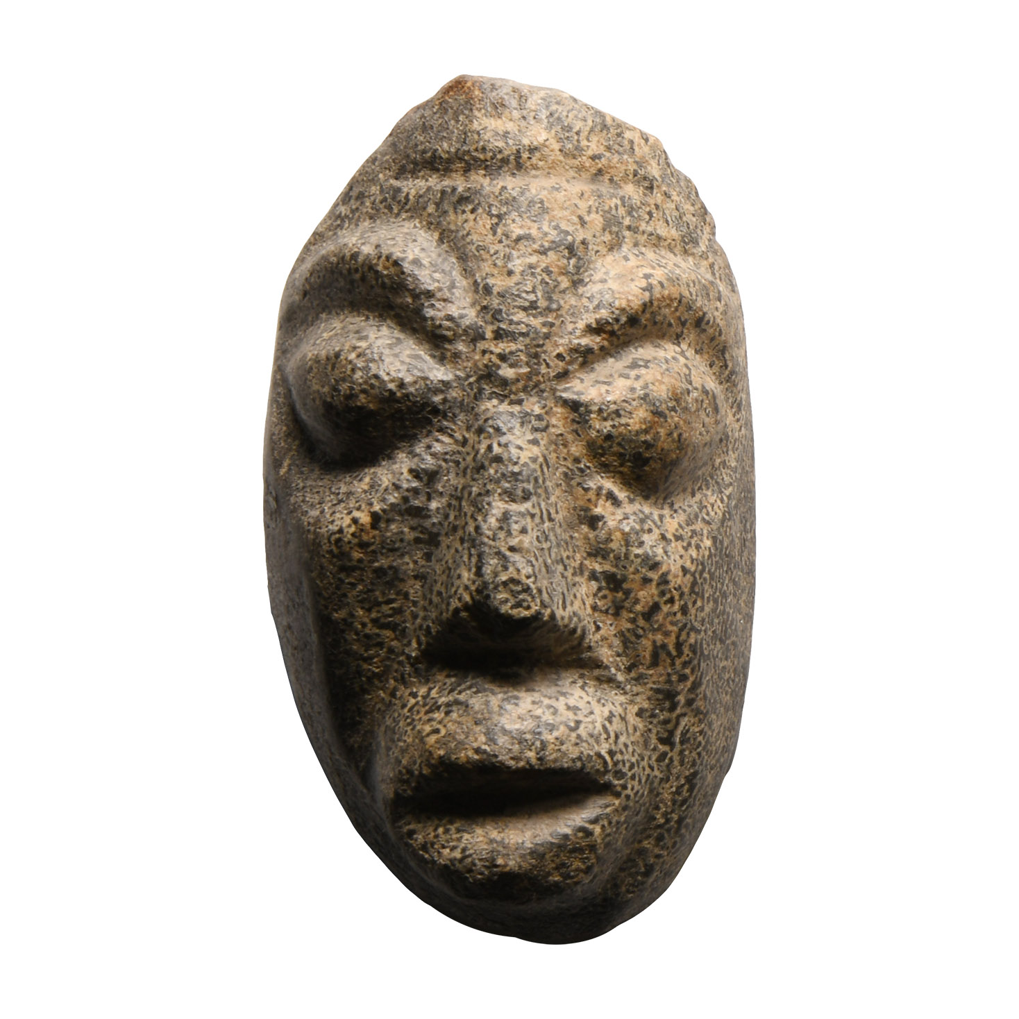 Natural History - Mastodon Bone Face Carving