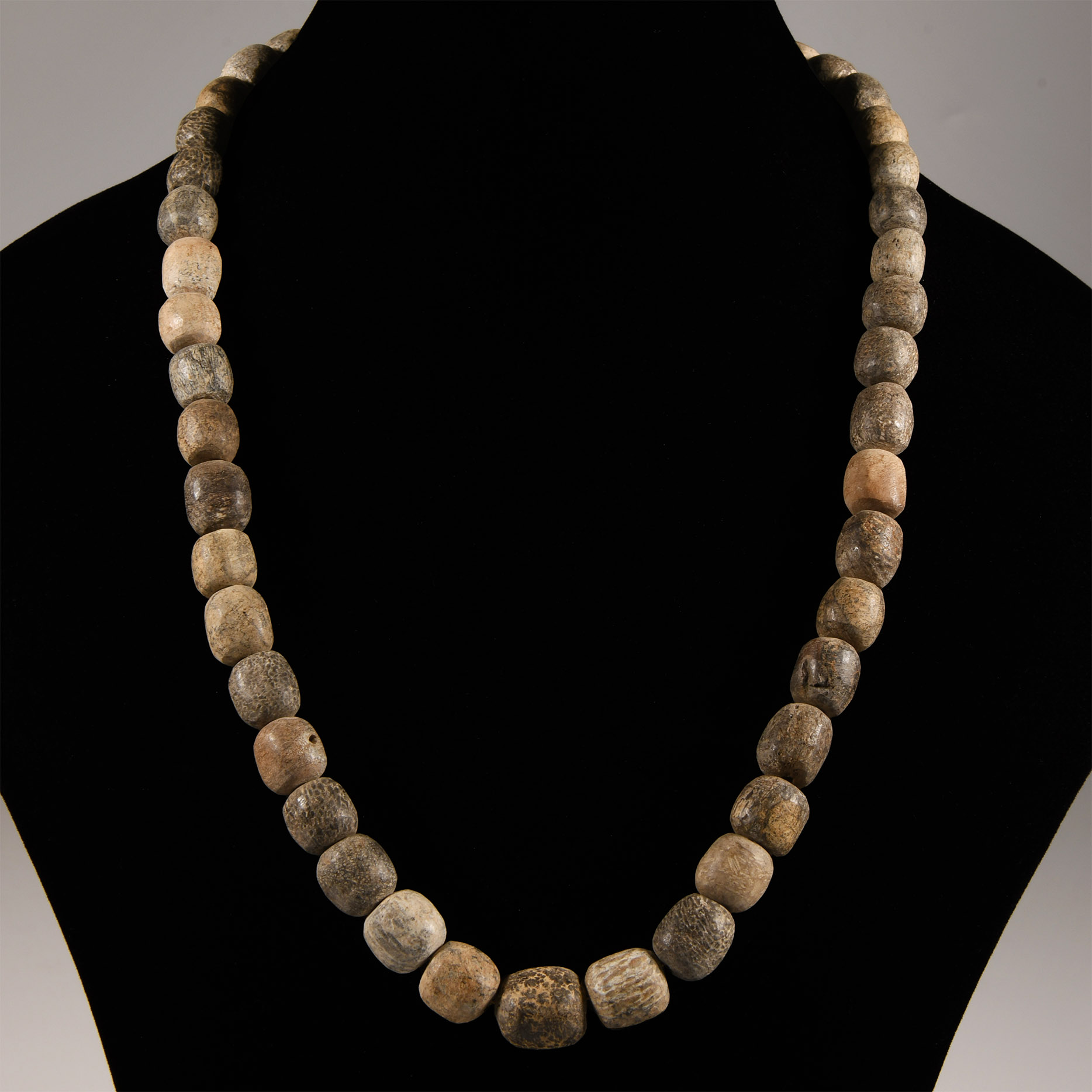 Natural History - Woolly Mammoth Bone Bead Necklace String