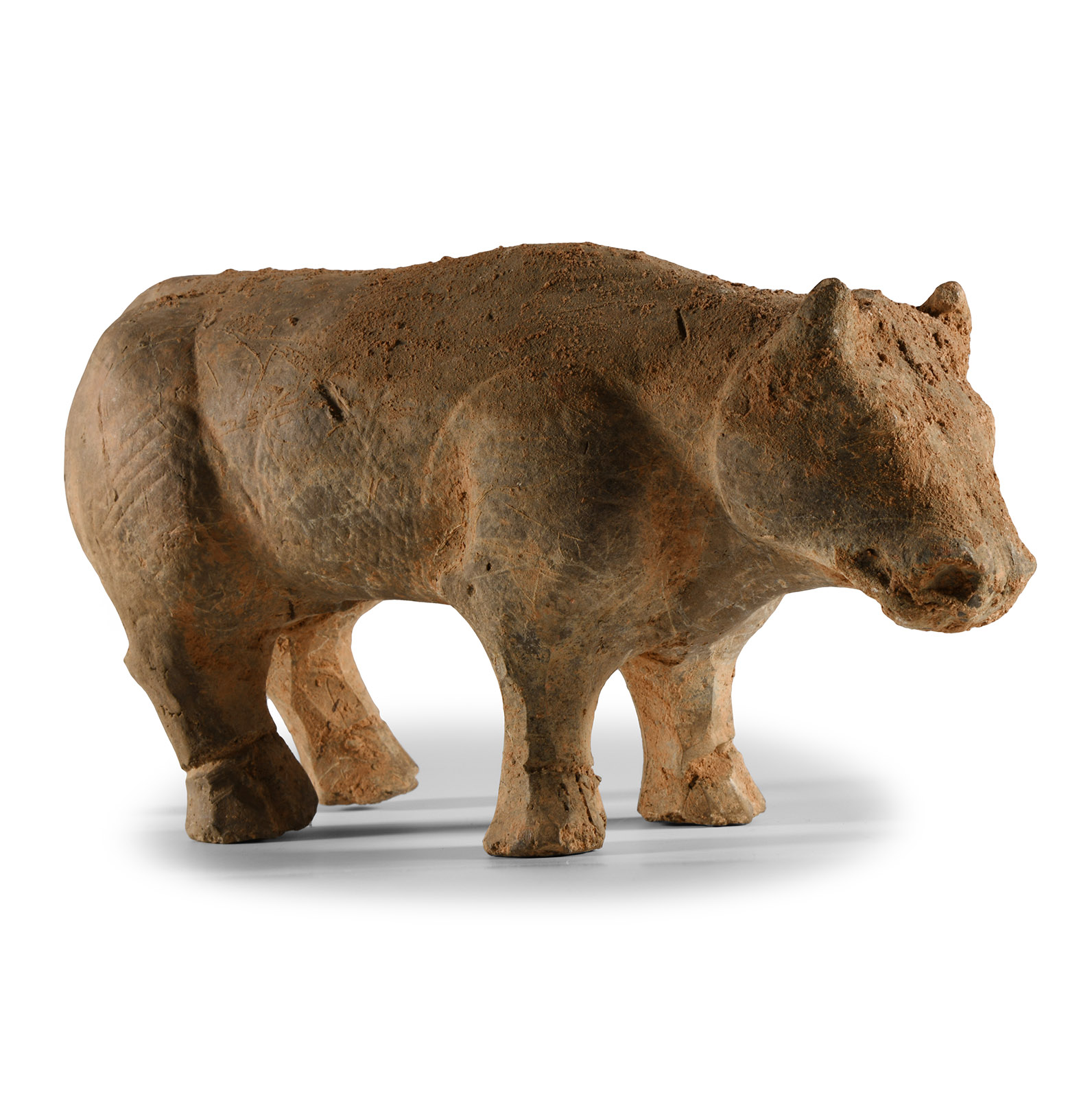 Chinese Tang Terracotta Bull