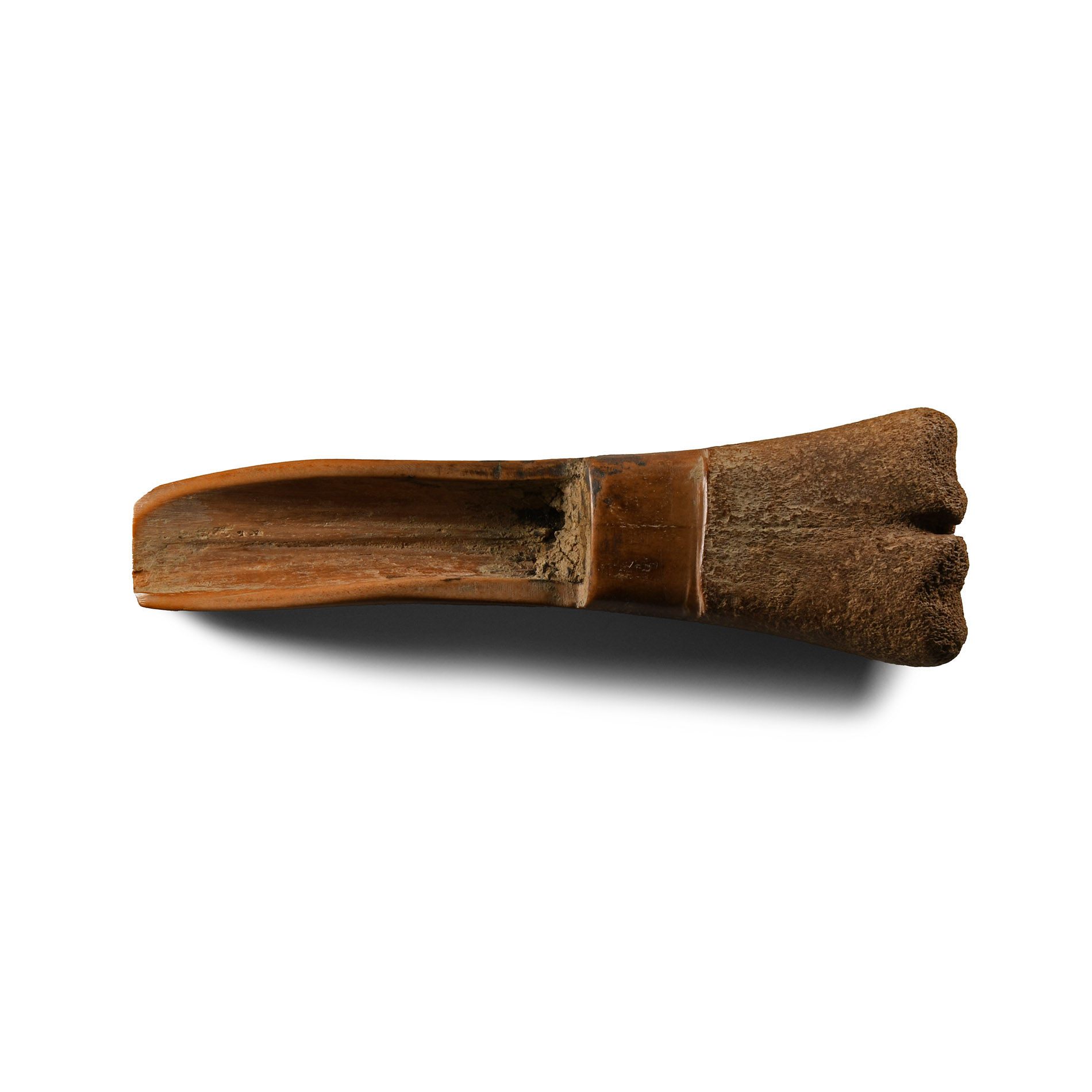 Medieval 'Thames' Bone Fid