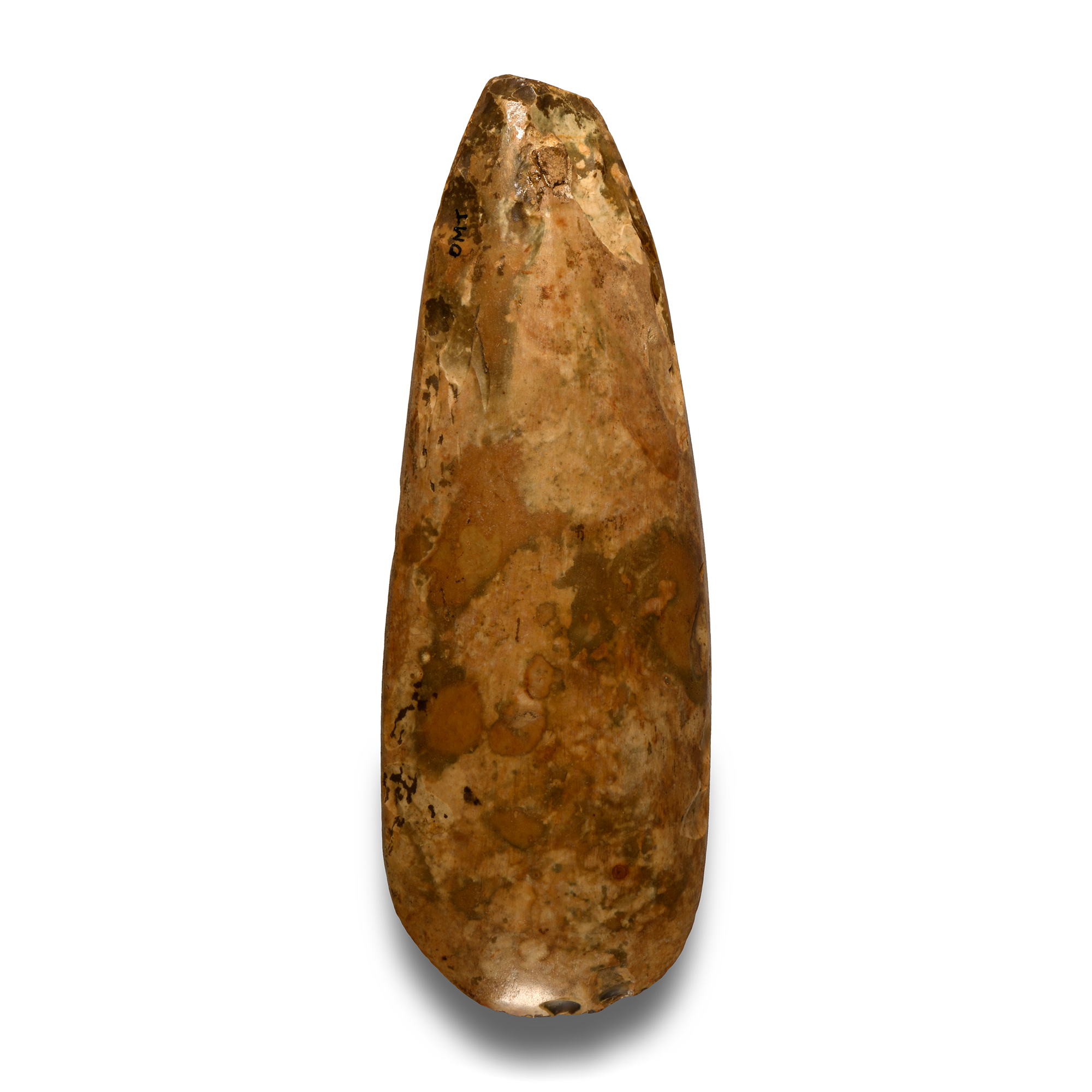 Stone Age Polished Stone Axehead