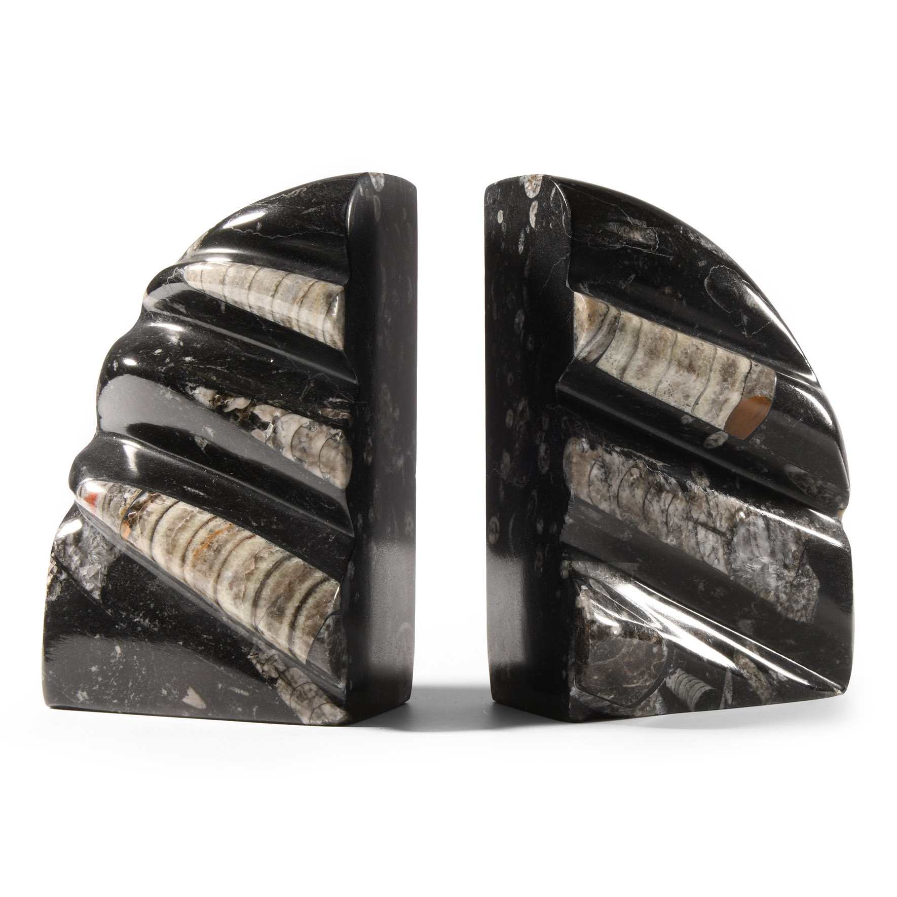 Natural History - Polished Orthoceras Fossil Book End Pair
