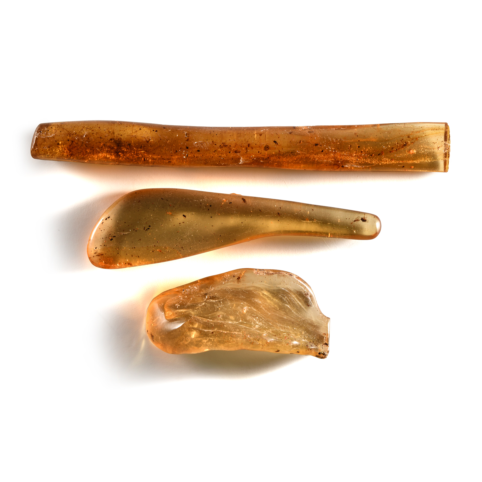 Natural History - Polished Copal Group with Insects