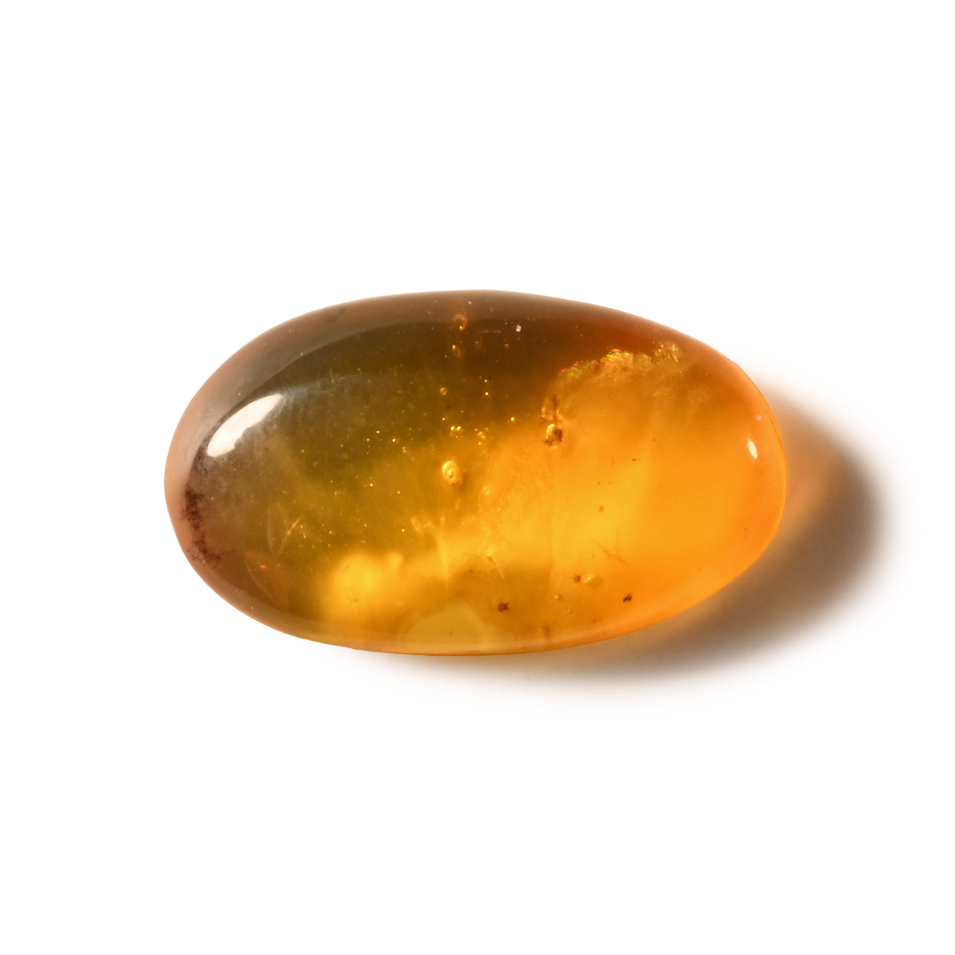 Natural History - Amber with Insect Inclusion